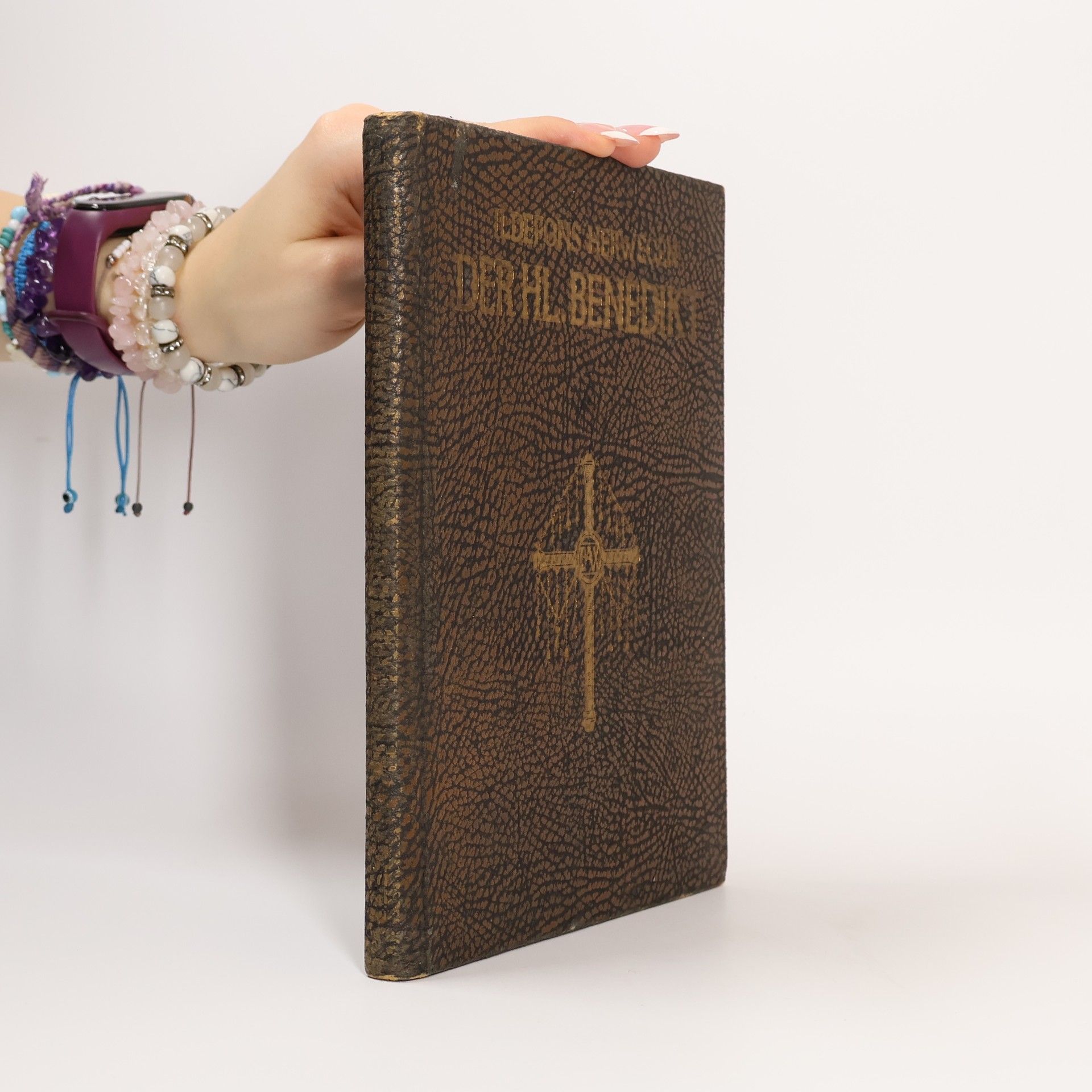 Der Heilige Benedikt: Ein Charakterbild