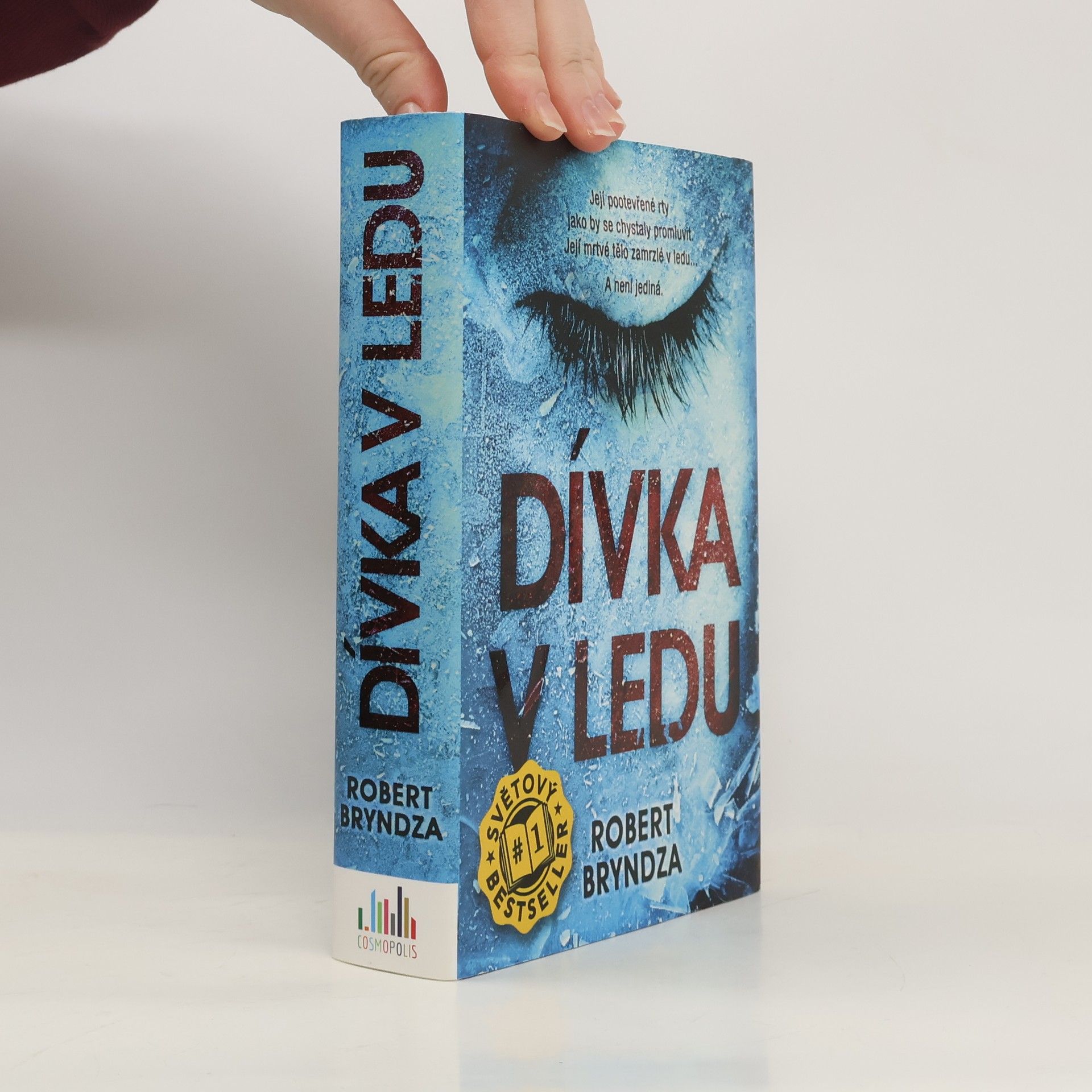 Robert Bryndza Dívka v ledu