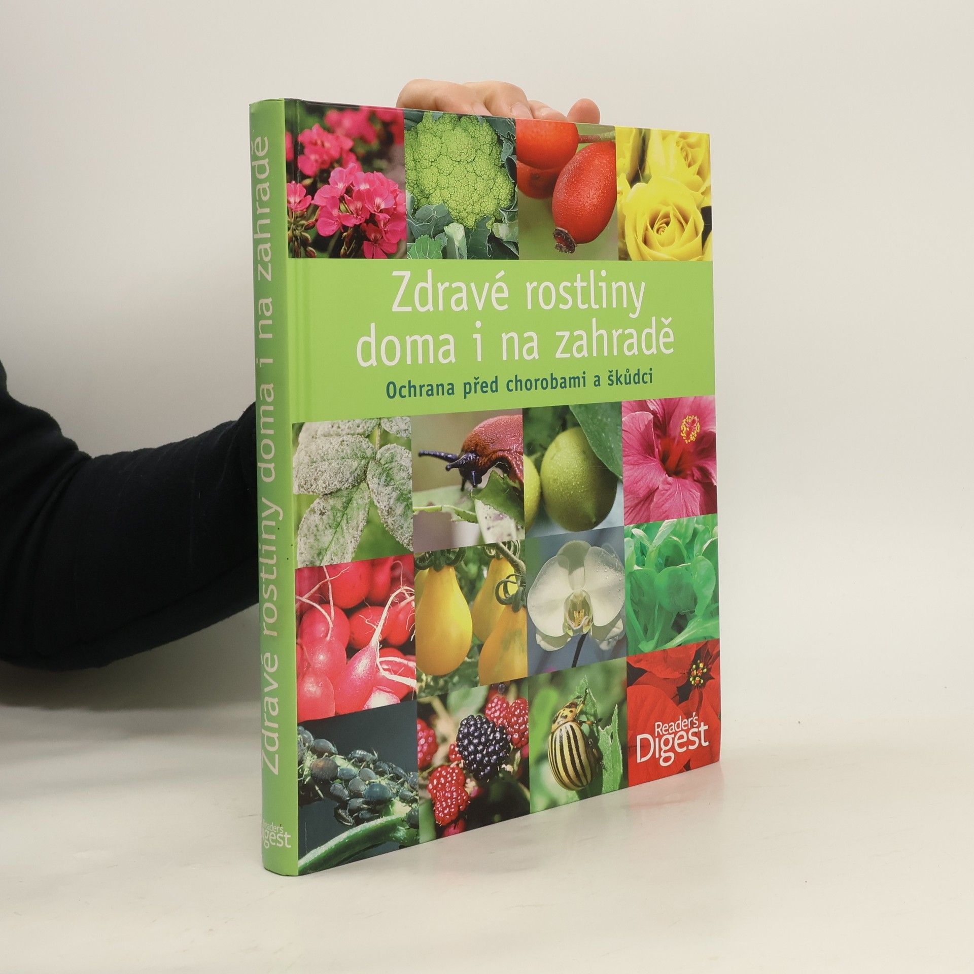 Michael Ernst-Pörksen Zdravé rostliny doma i na zahradě