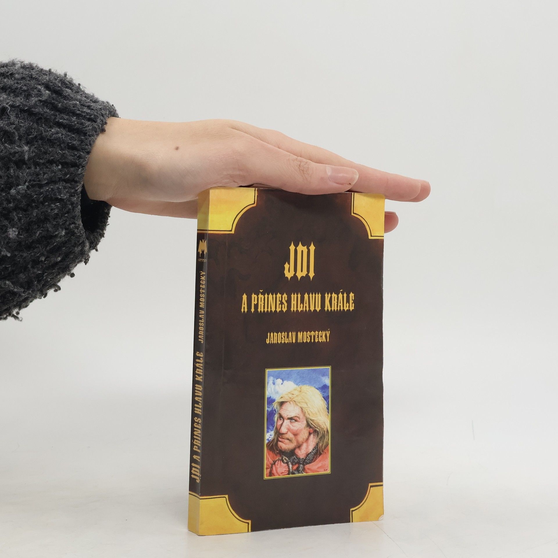 Jdi a přines hlavu krále: Kniha první série Vlčí věk