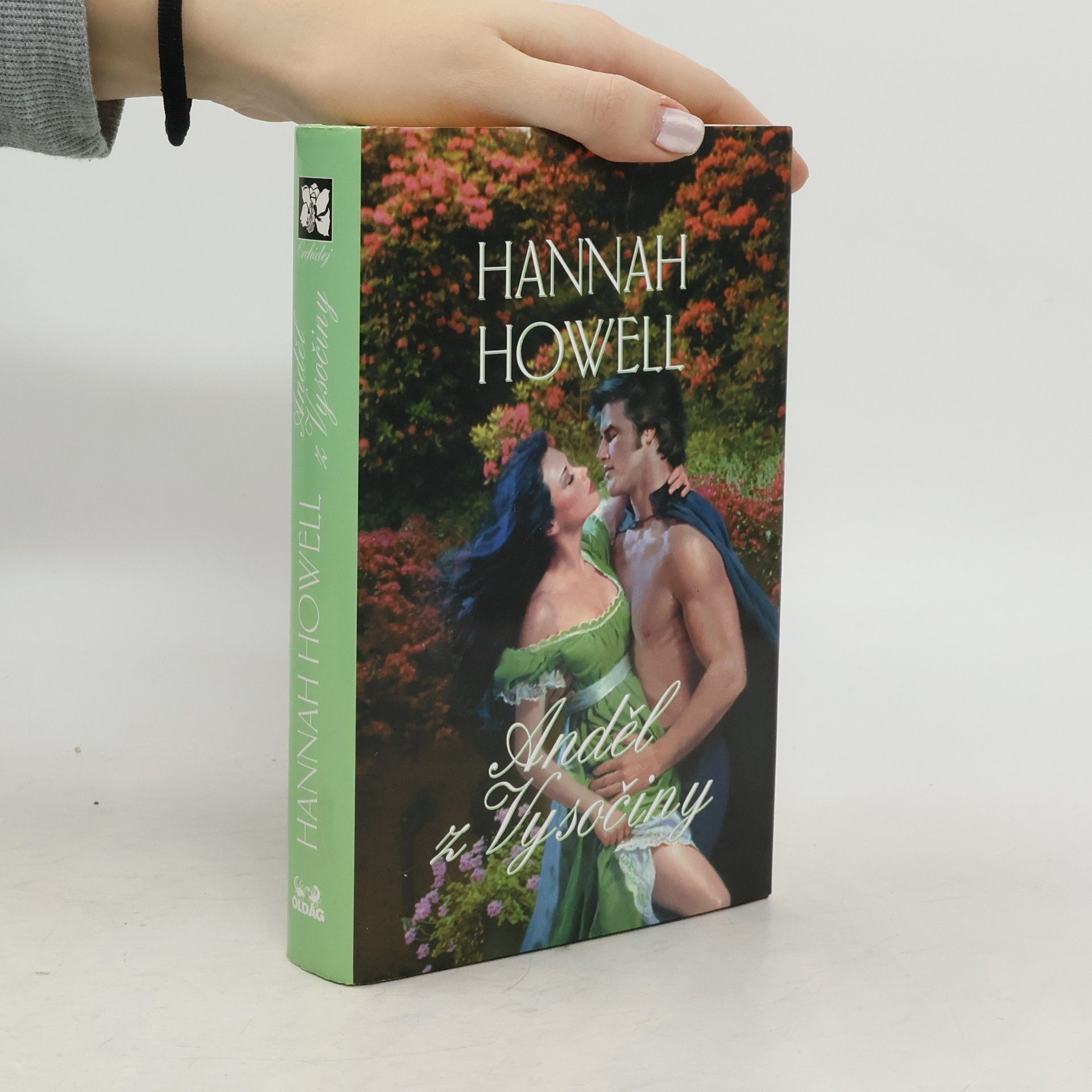 Hannah Howell Anděl z Vysočiny