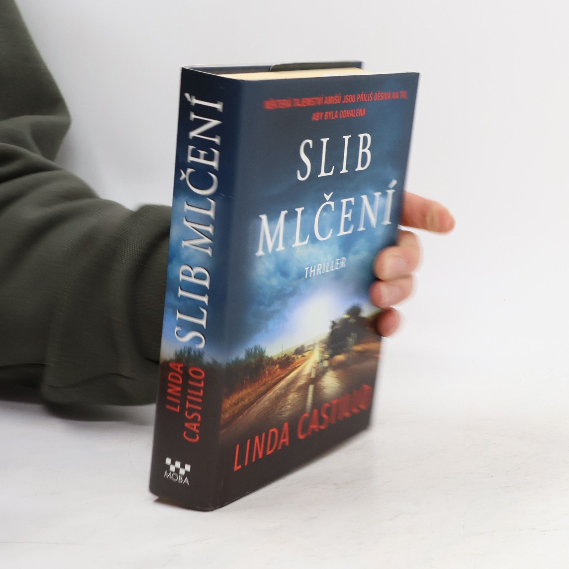 Linda Castillo Slib mlčení