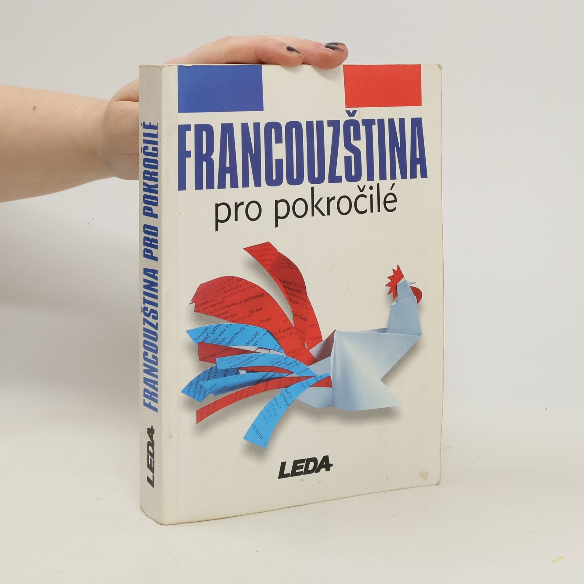 Autorenkollektiv Francouzština pro pokročilé