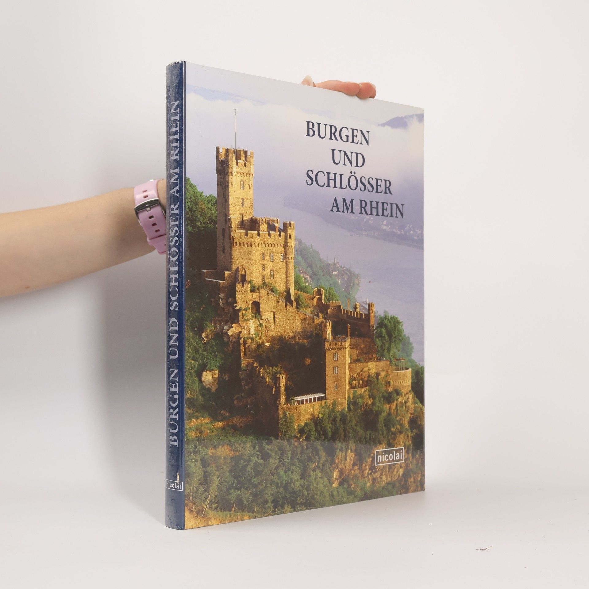 Burgen und Schlösser am Rhein