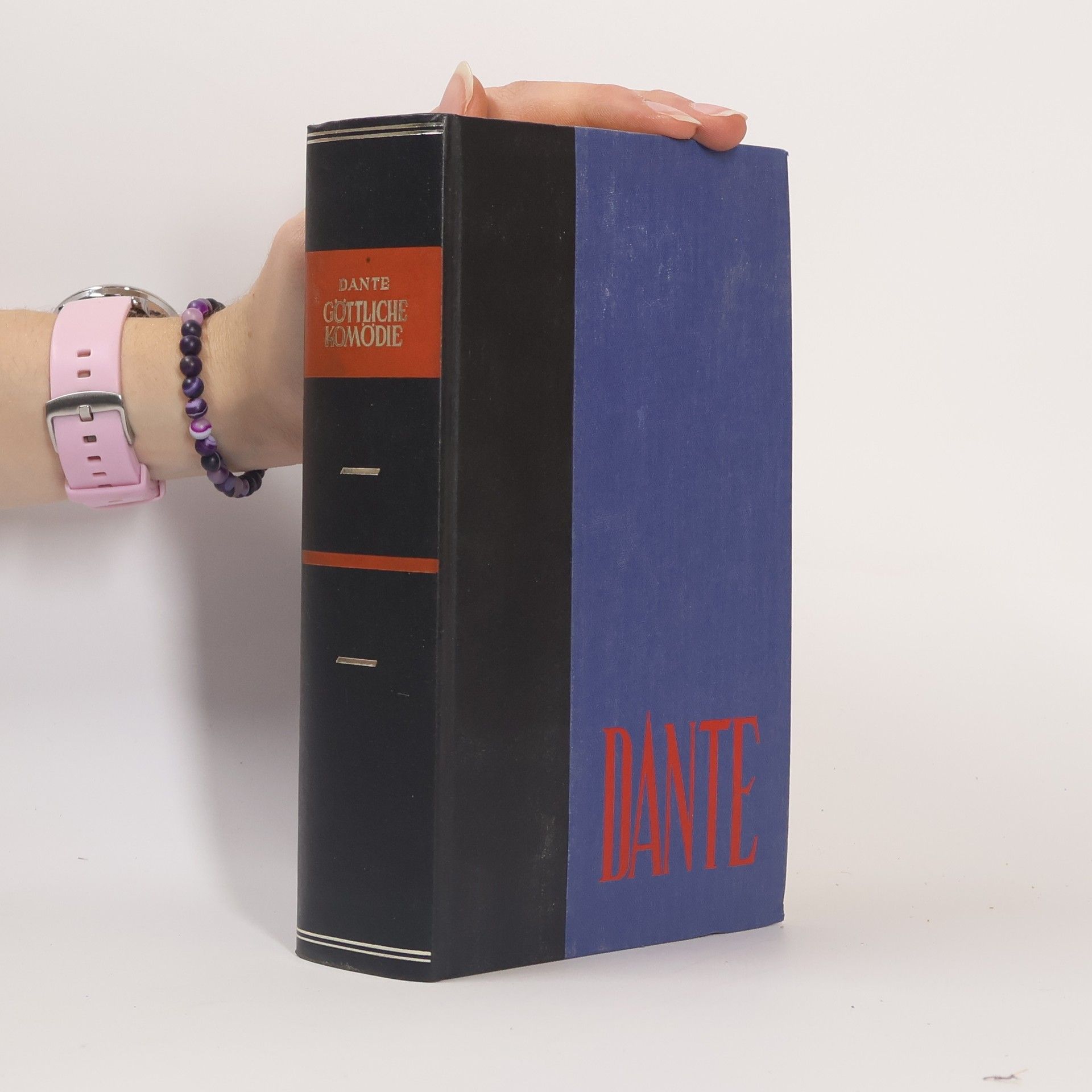 Dante Alighieri Göttliche Komödie