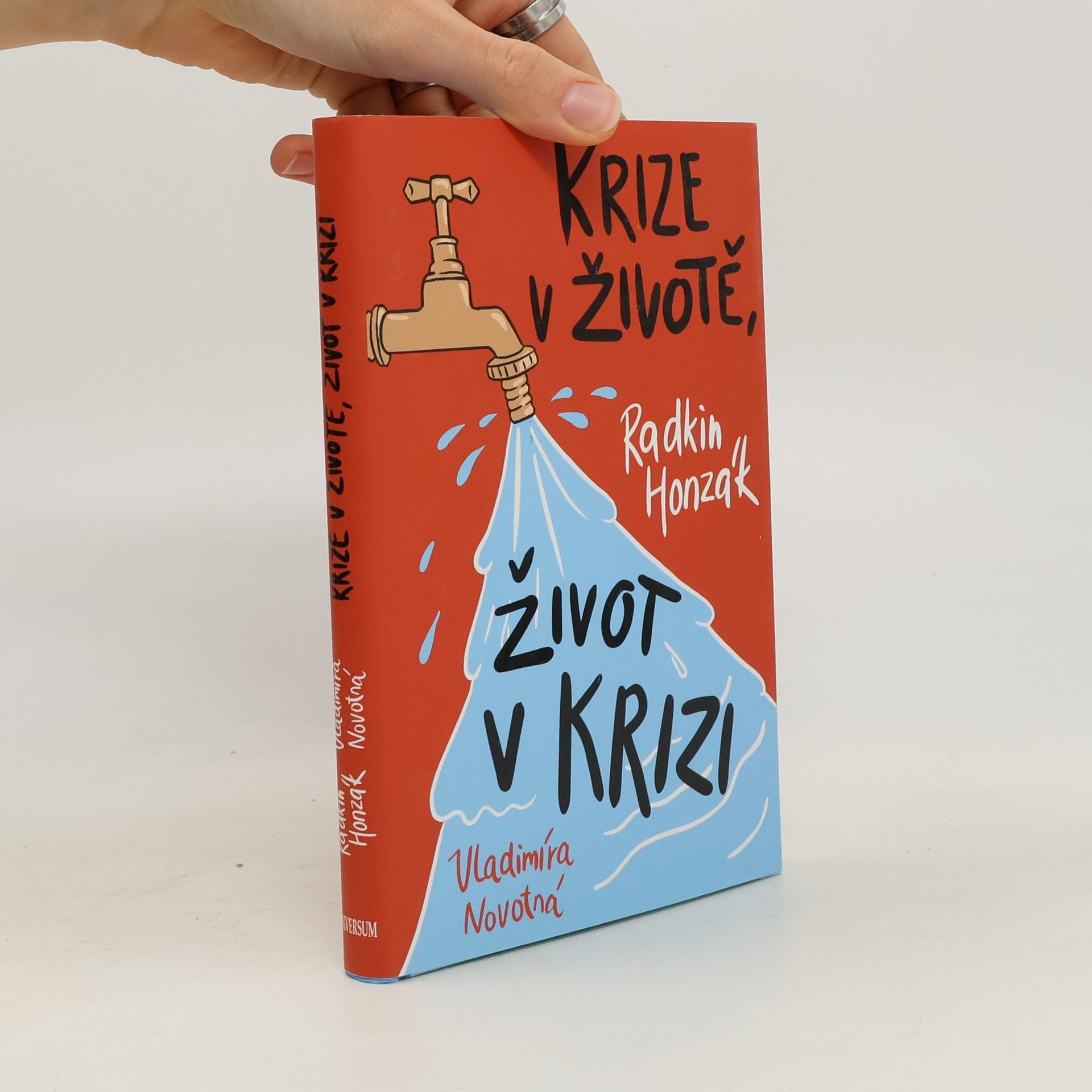 Krize v životě, život v krizi