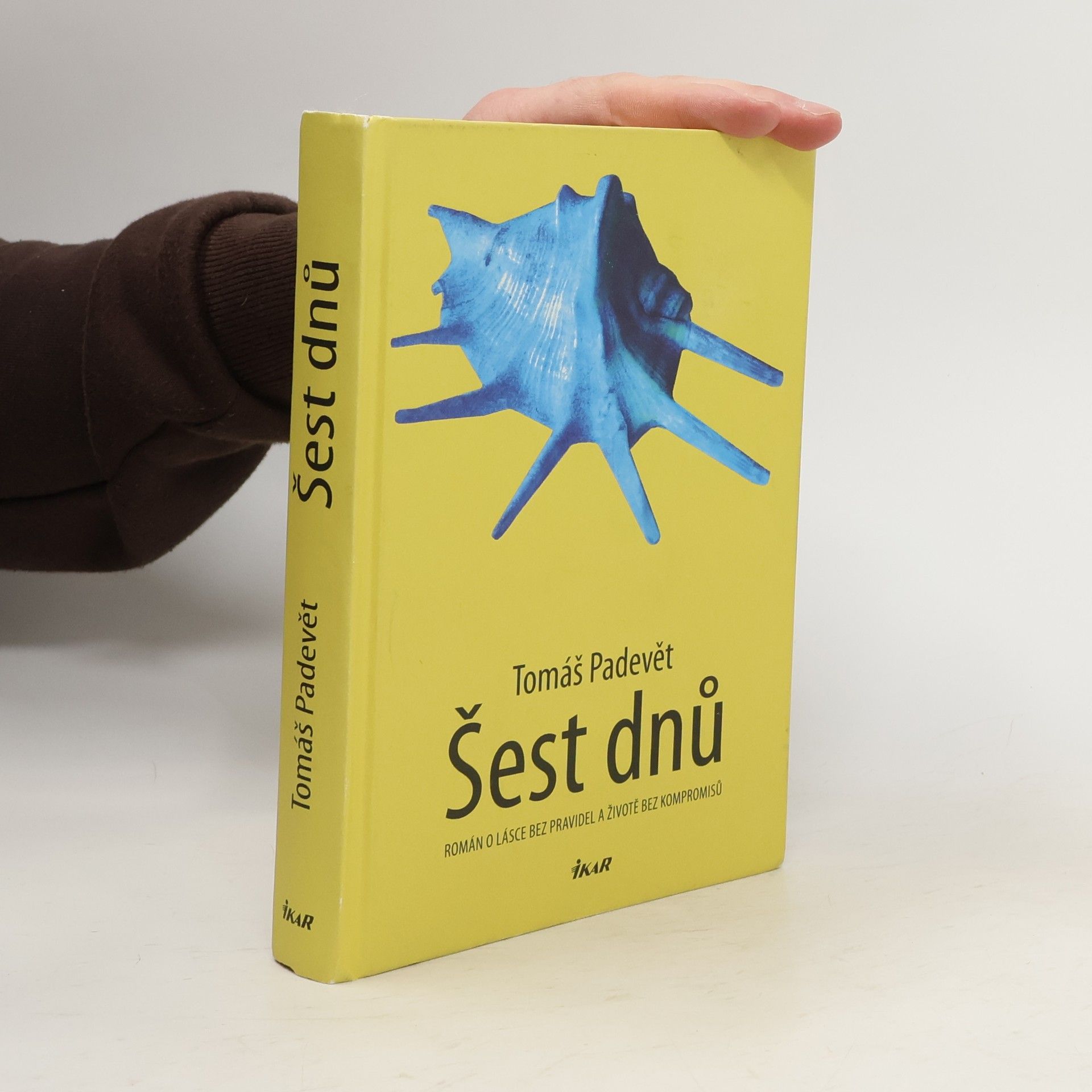 Tomáš Padevět Šest dnů : román o lásce bez pravidel a životě bez kompromisů