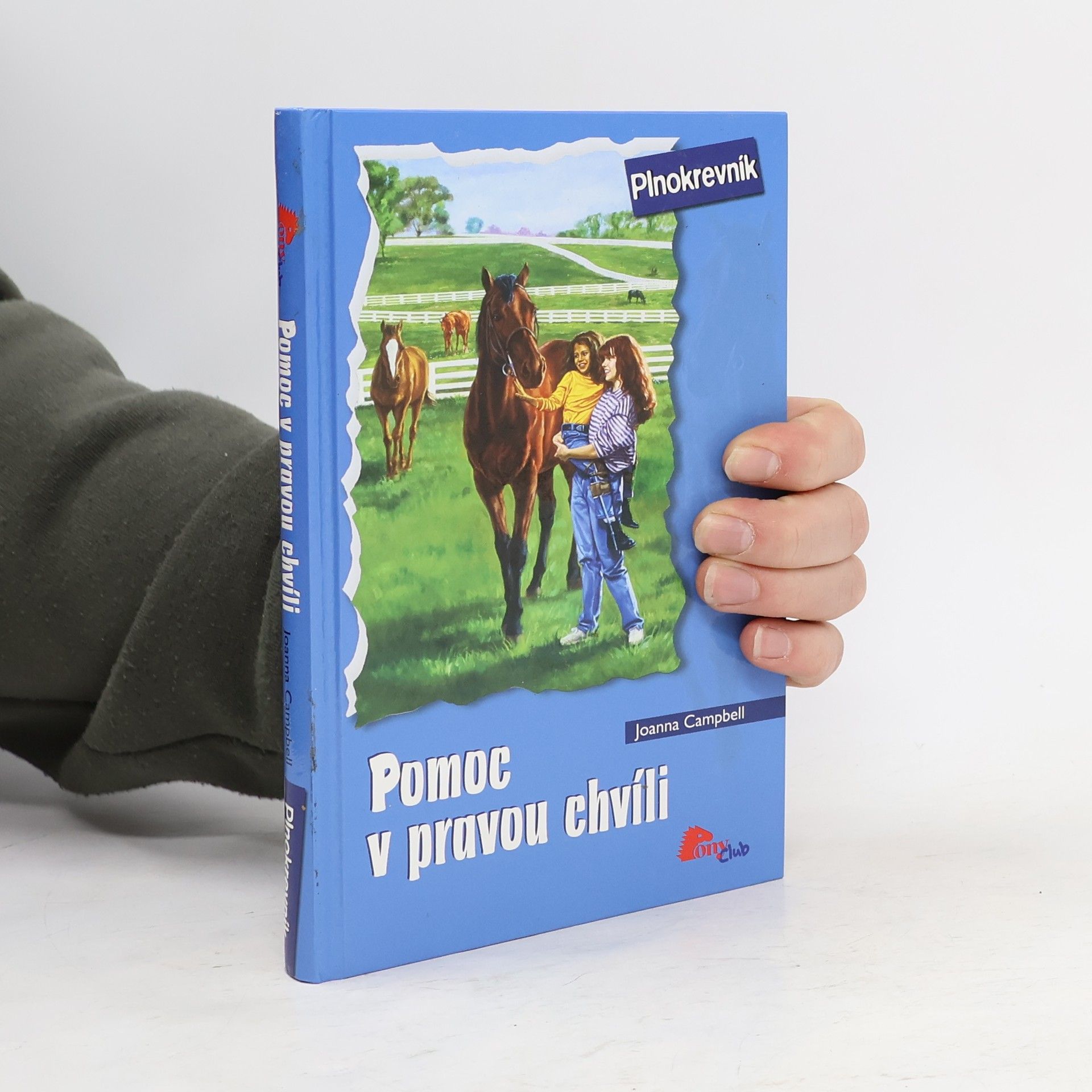 Joanna Campbell Pomoc v pravou chvíli