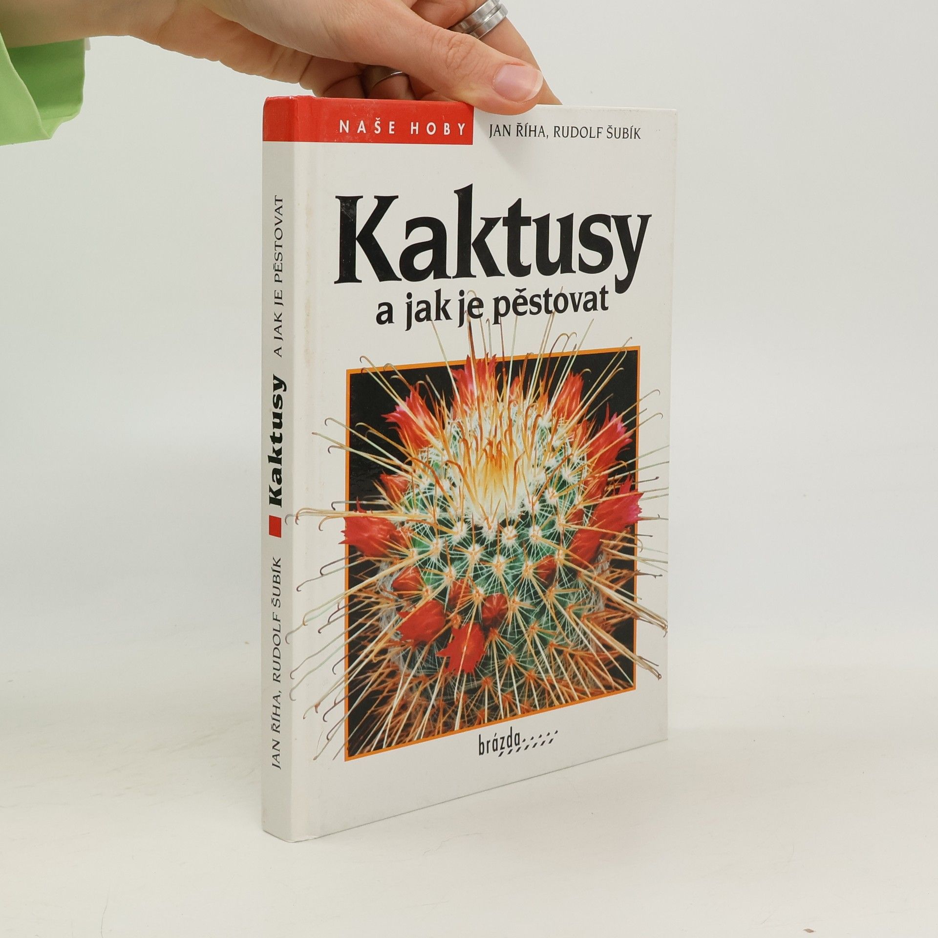 Kaktusy a jak je pěstovat