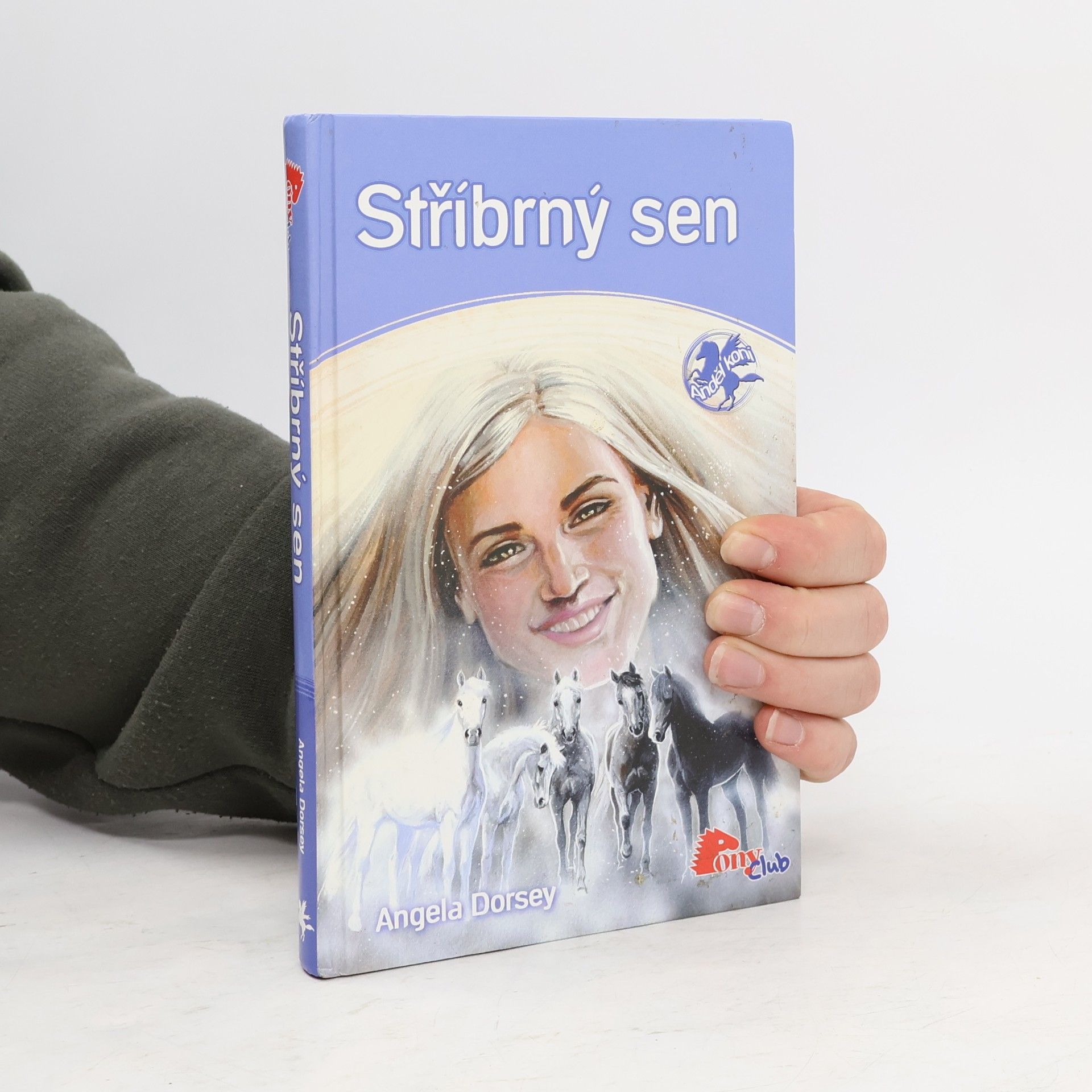 Angela Dorsey Stříbrný sen