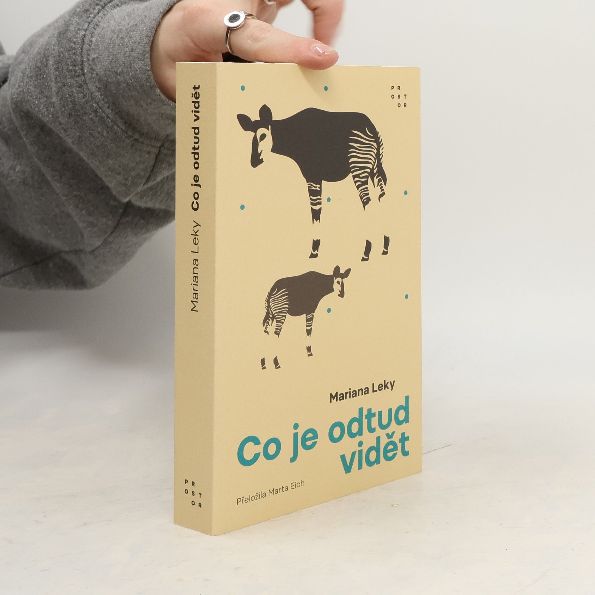 Mariana Leky Co je odtud vidět