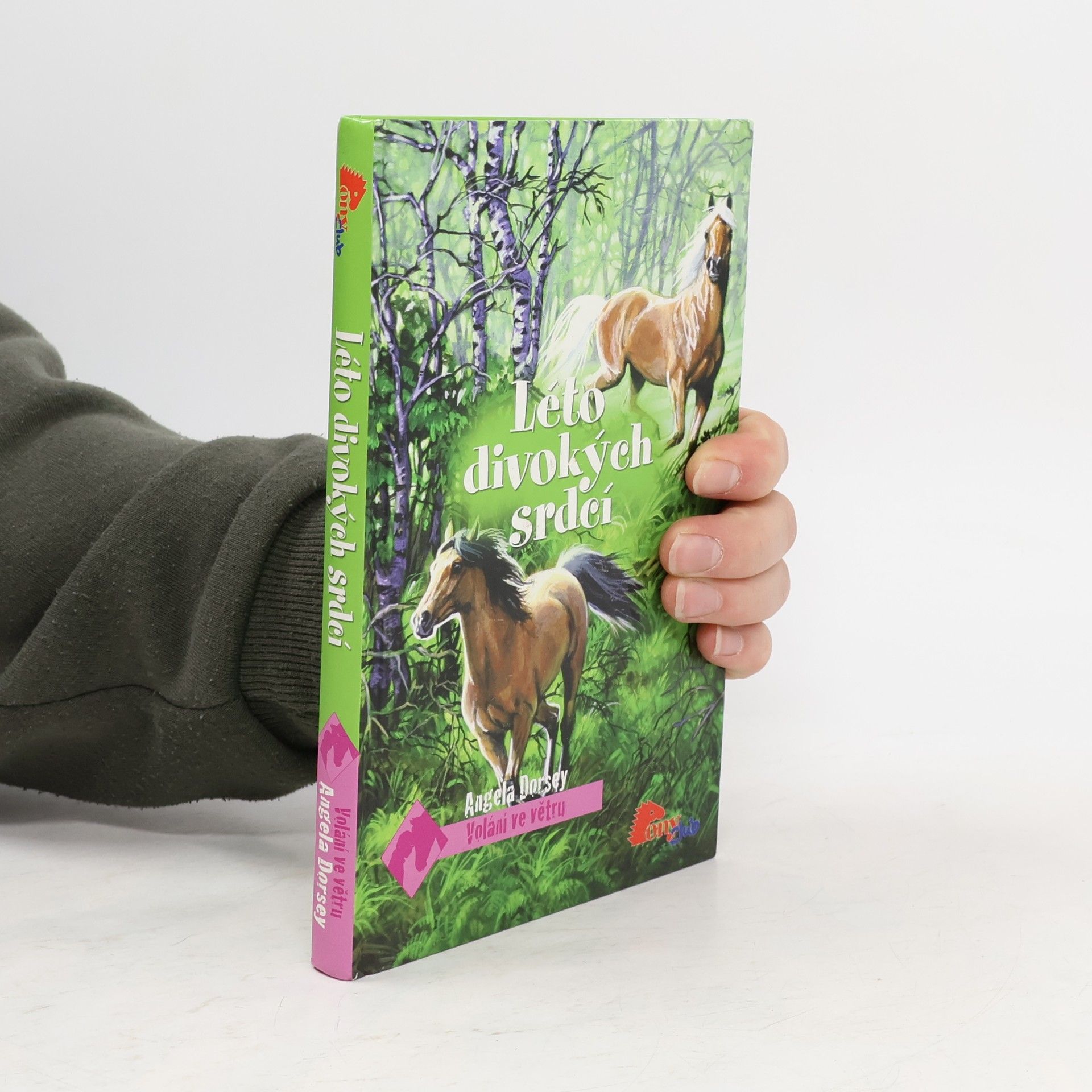 Léto divokých srdcí