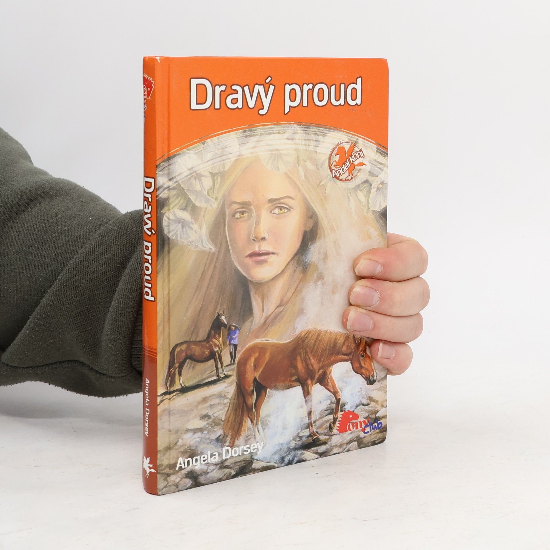 Angela Dorsey Dravý proud