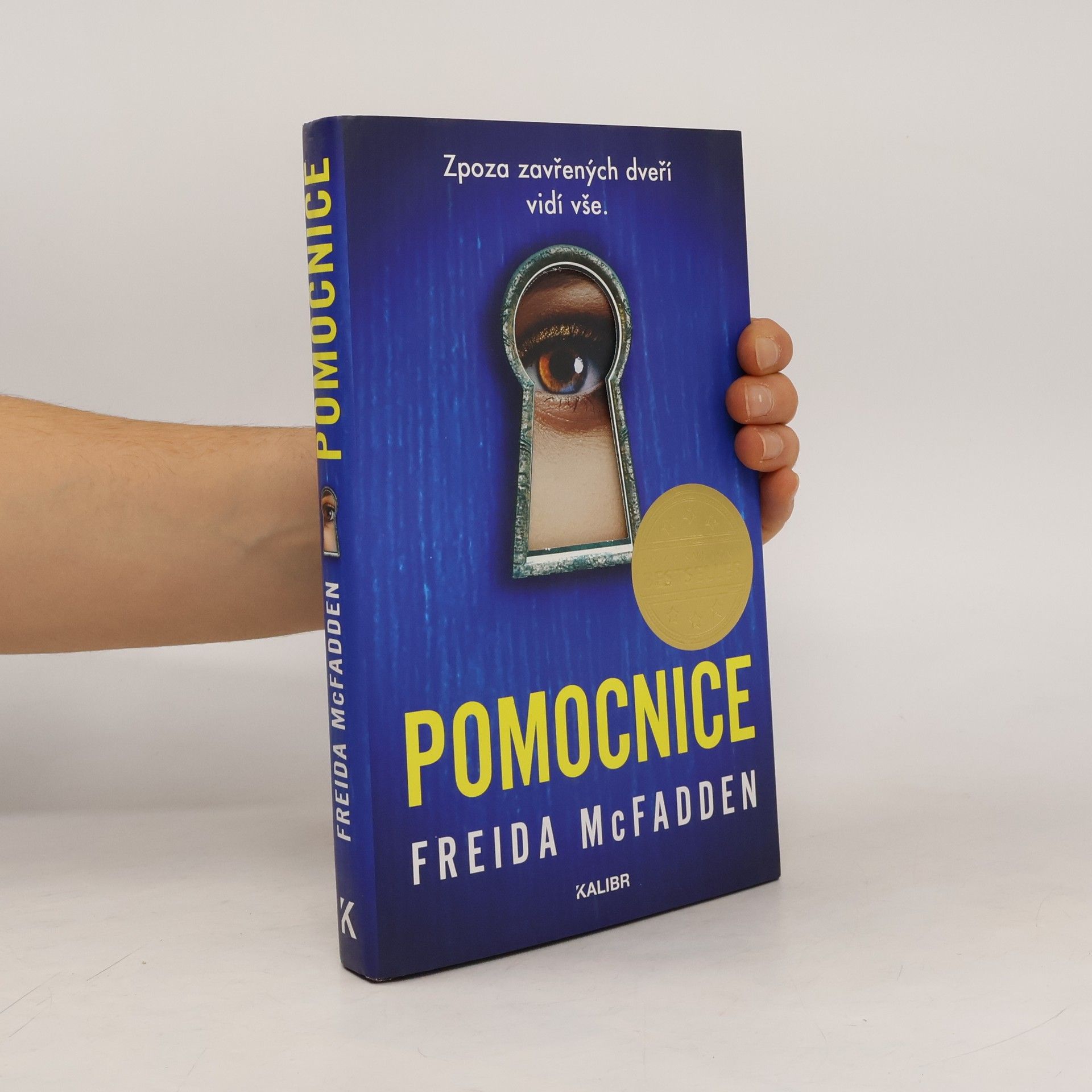 Freida McFaddenová Pomocnice