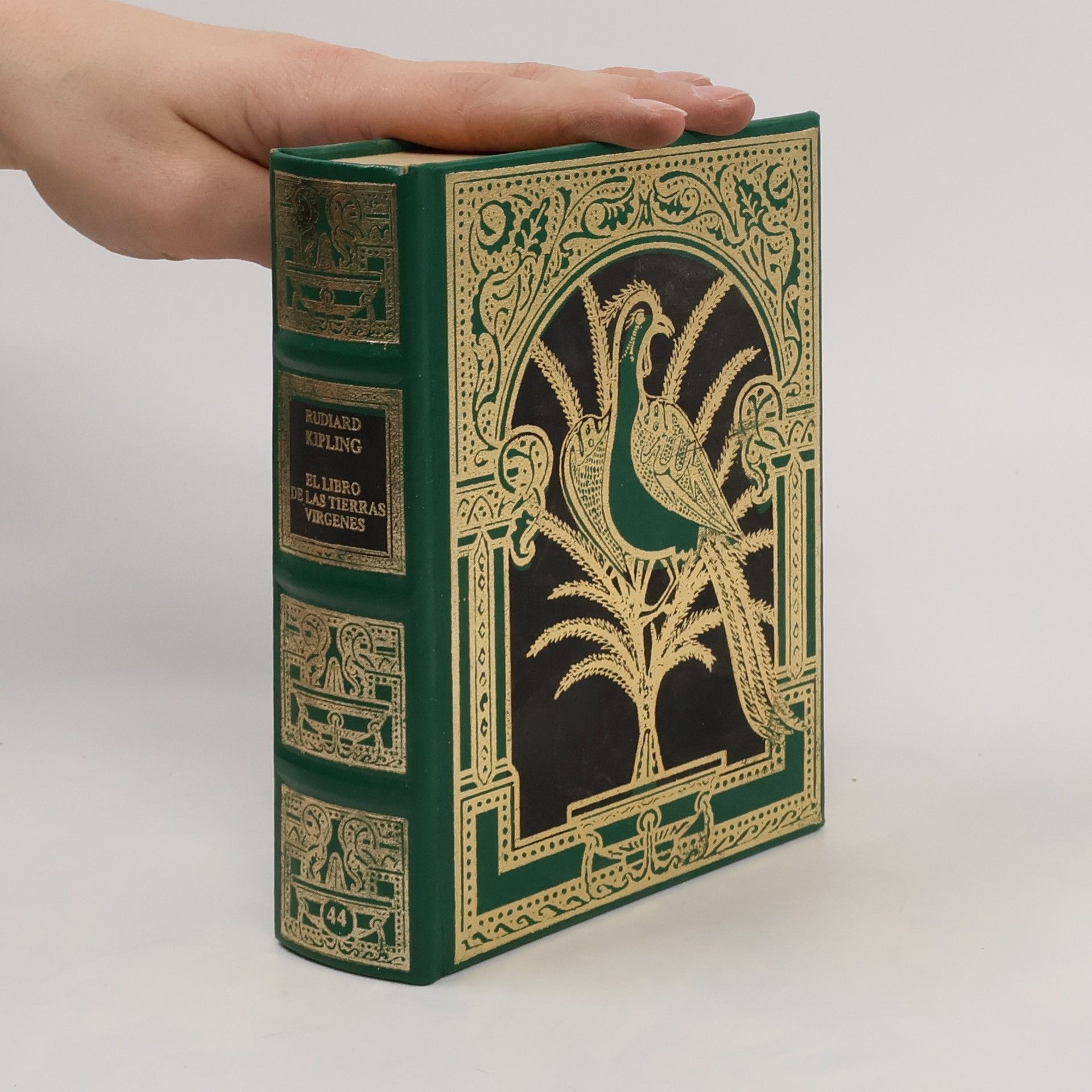 El libro de las tierras vírgenes