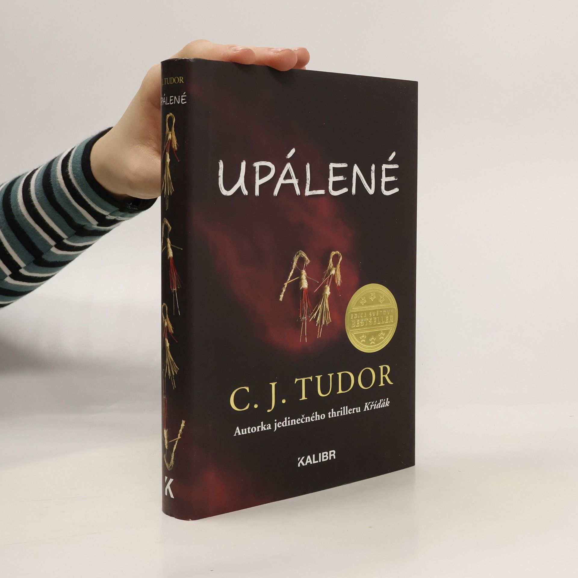 C. J. Tudor Upálené