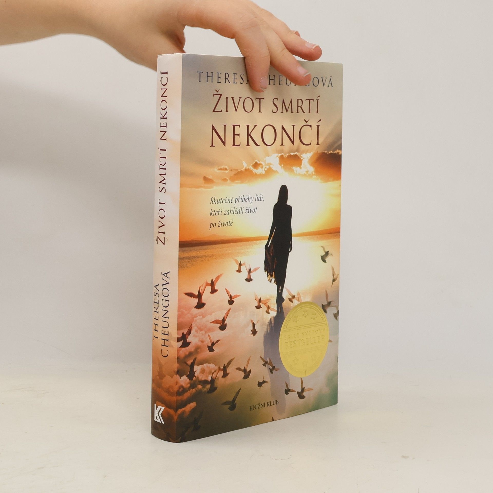Theresa Francis-Cheung Život smrtí nekončí : Skutečné příběhy lidí, kteří zahlédli život po životě