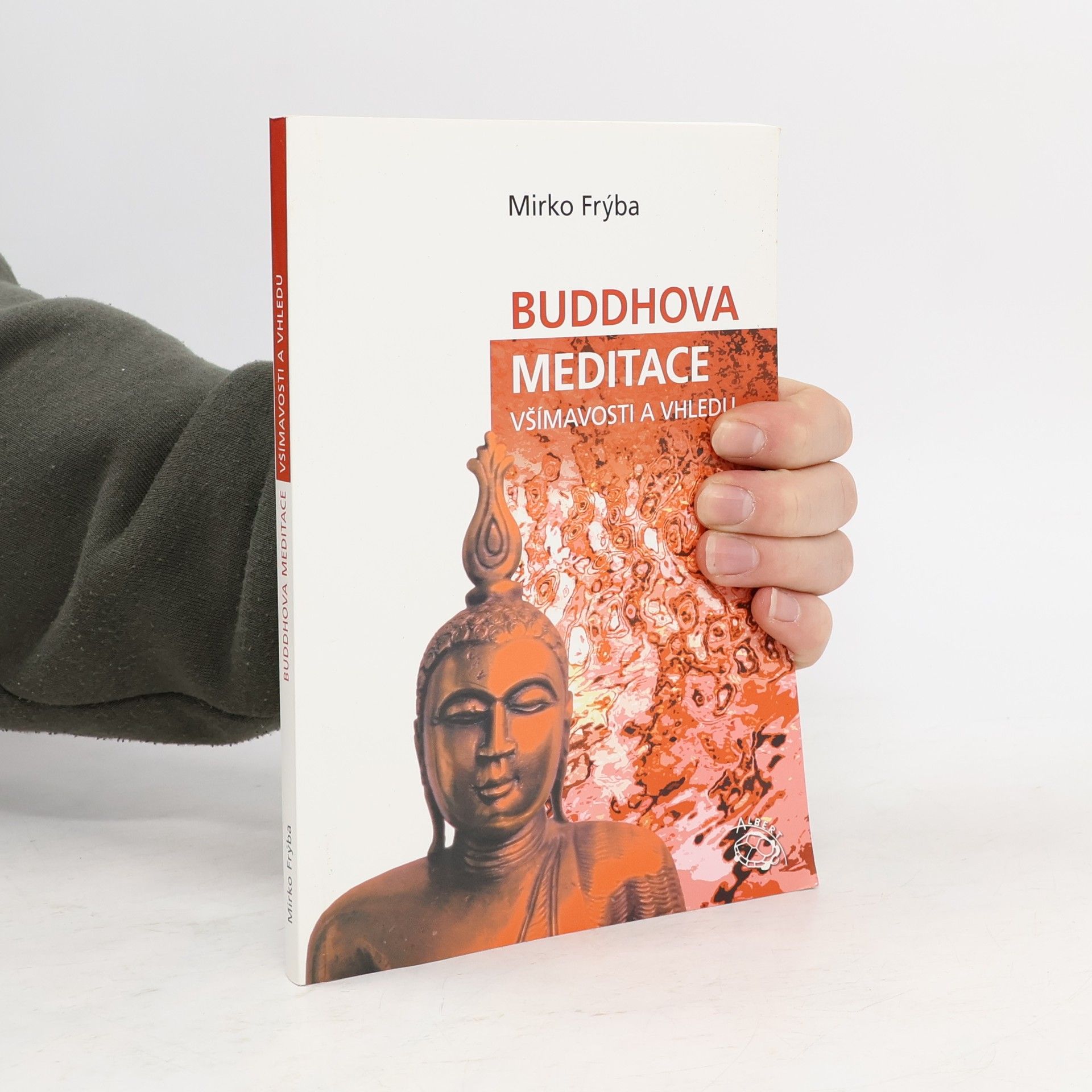 Buddhova meditace všímavosti a vhledu