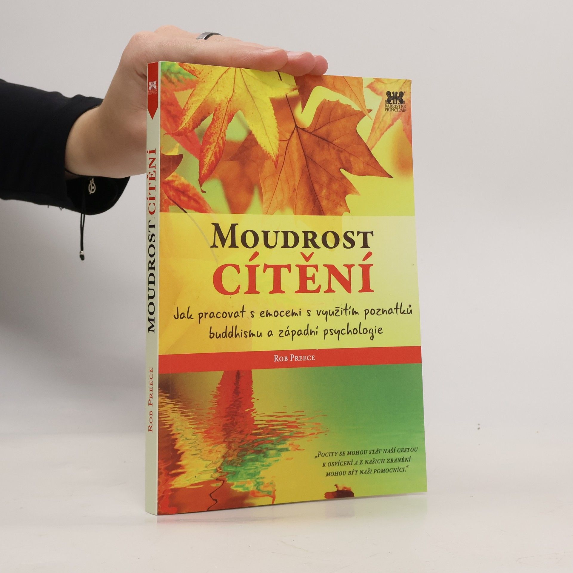 Rob Preece Moudrost cítění