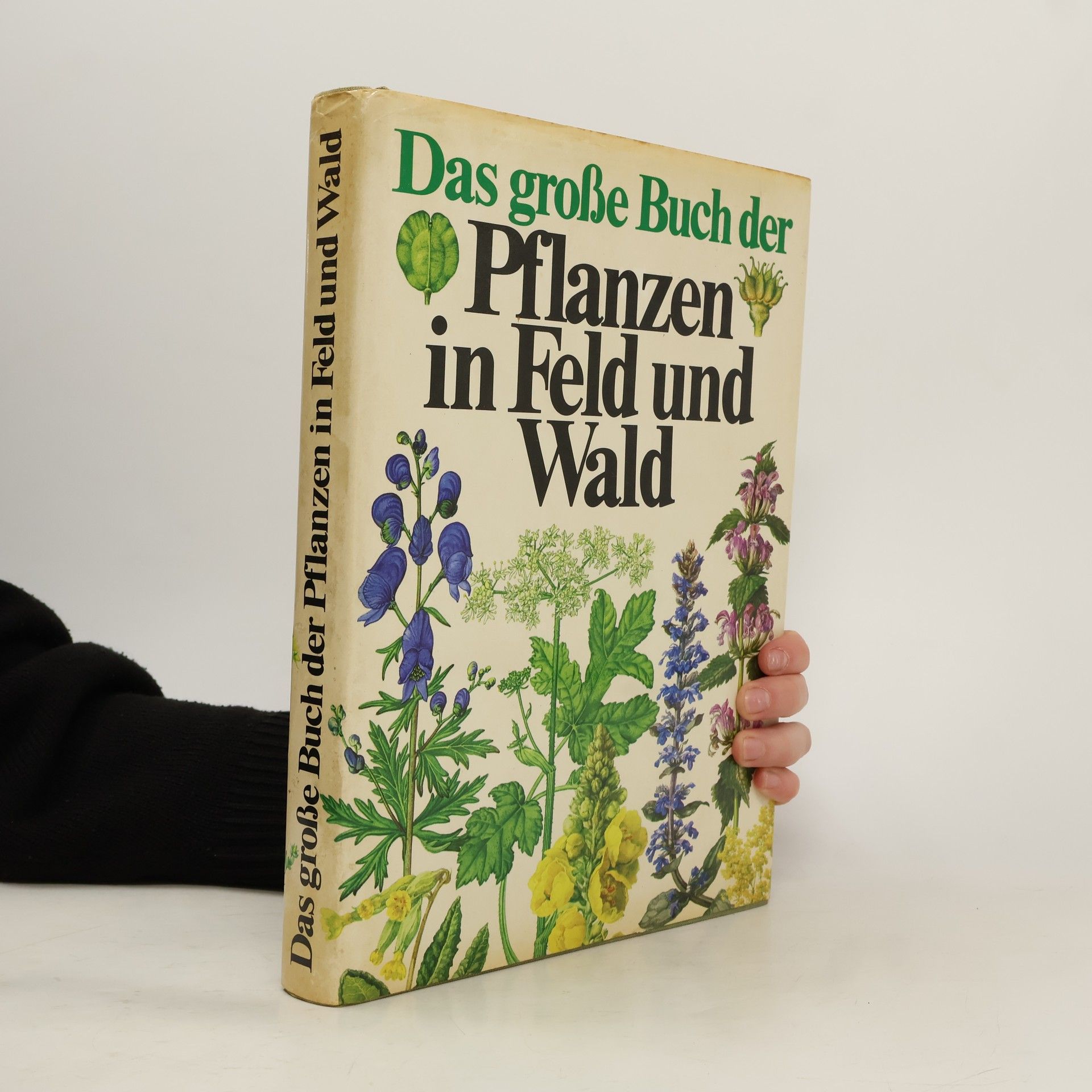 Das große Buch der Pflanzen in Feld und Wald