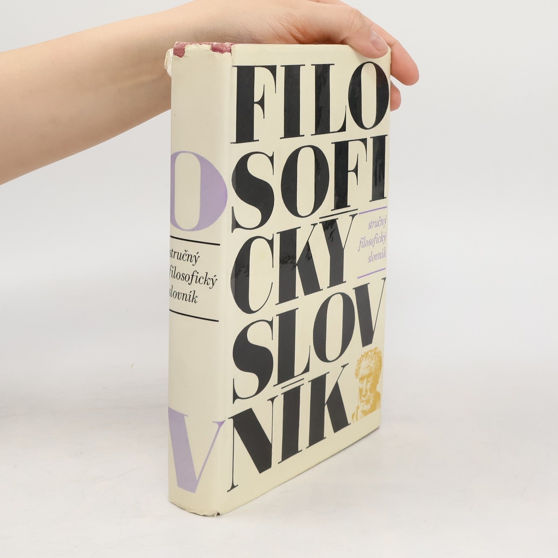 Autorenkollektiv Stručný filosofický slovník