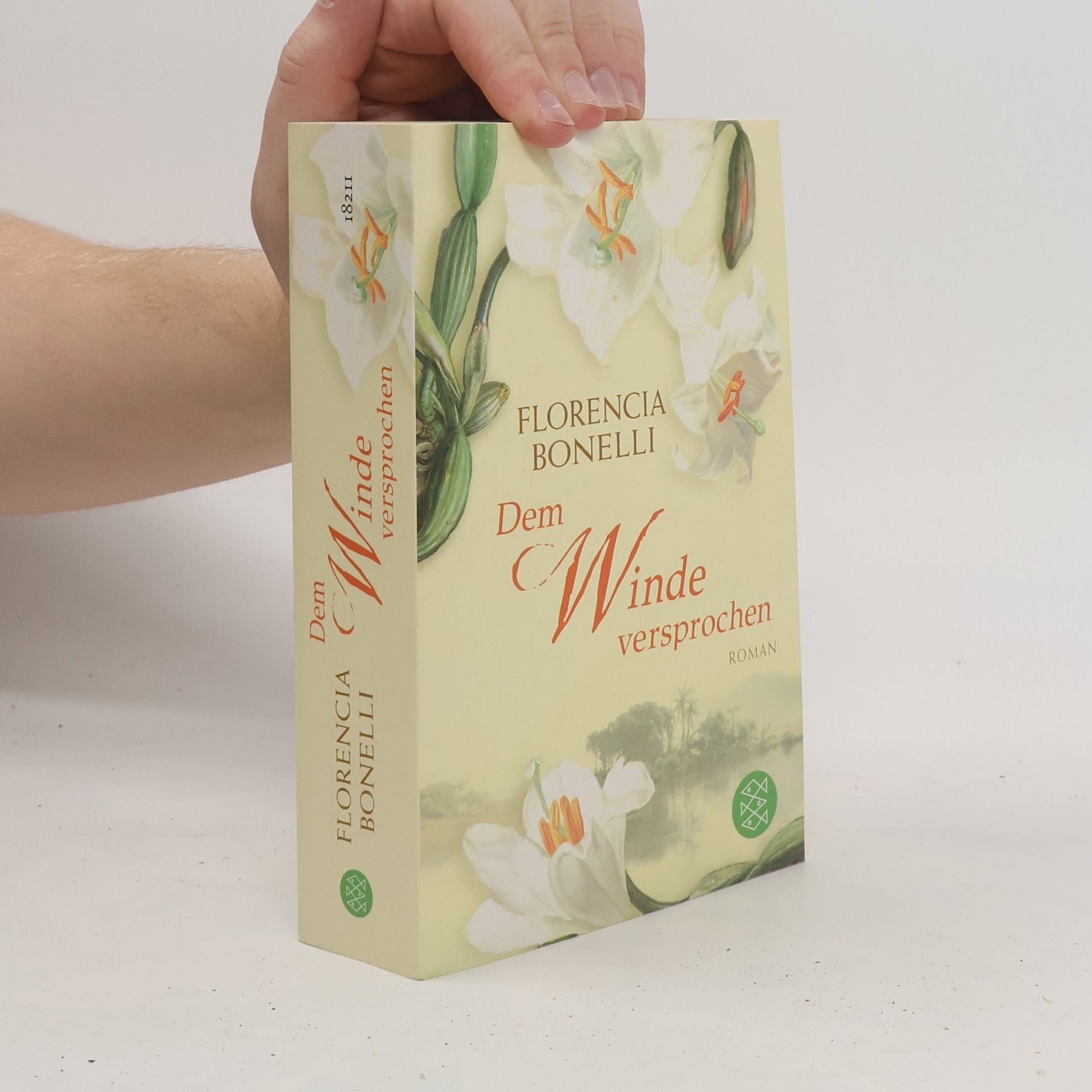 Florencia Bonelli Dem Winde versprochen