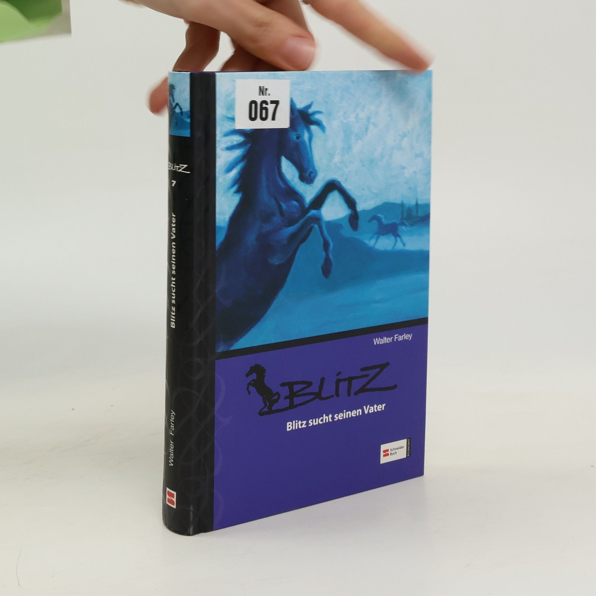 Walter Farley Blitz sucht seinen Vater. Band 7