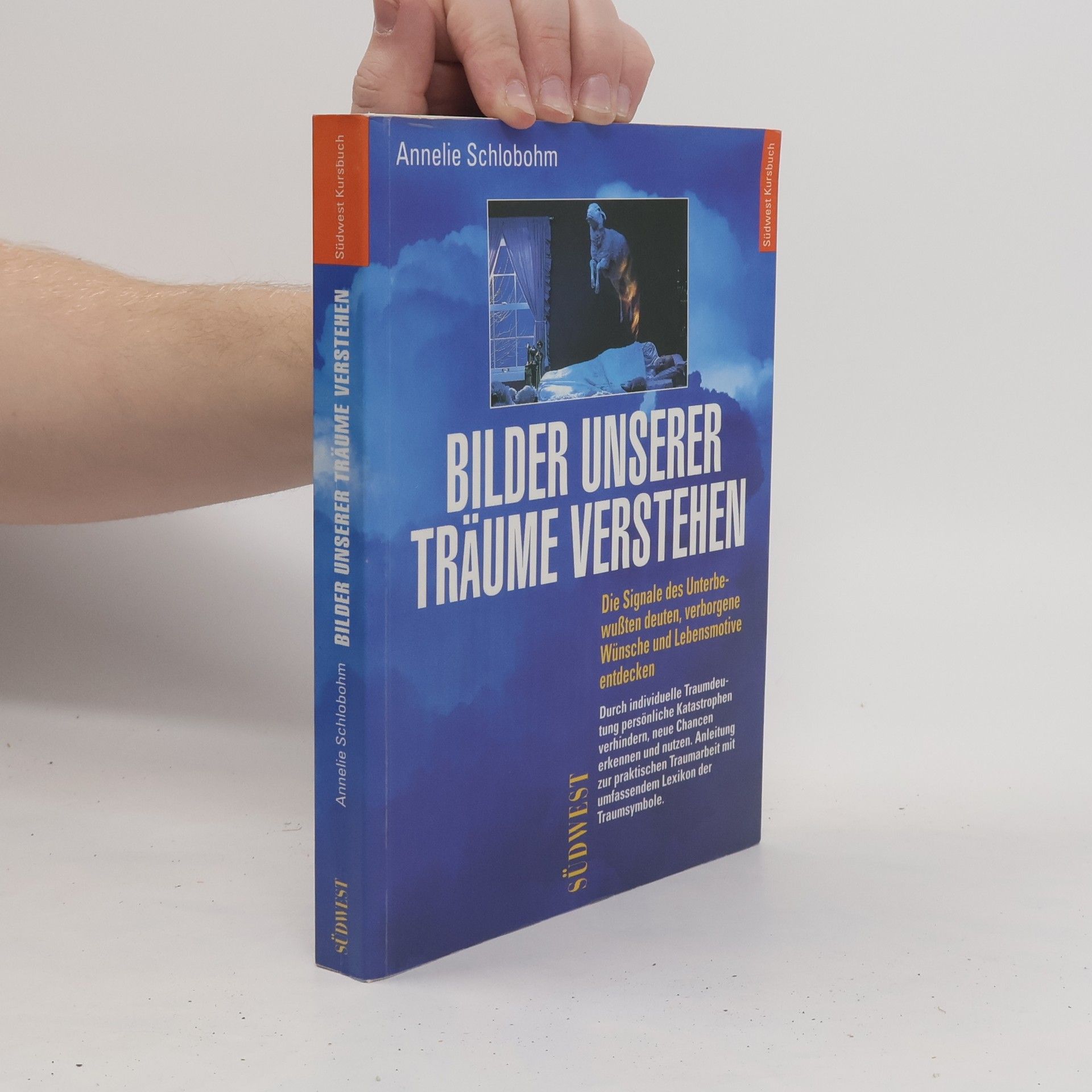 Annelie Schlobohm Bilder unserer Träume verstehen