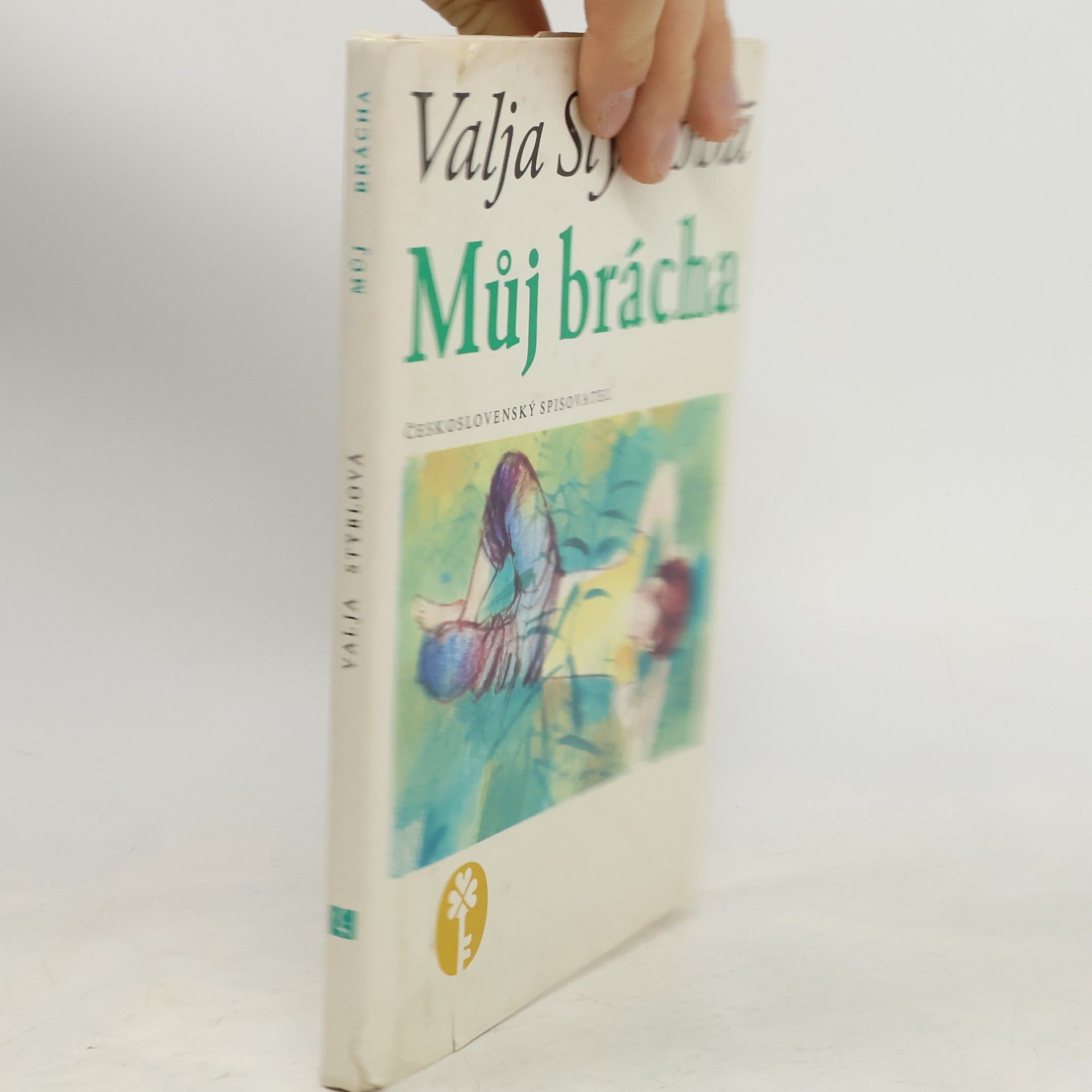 Valja Stýblová Můj brácha