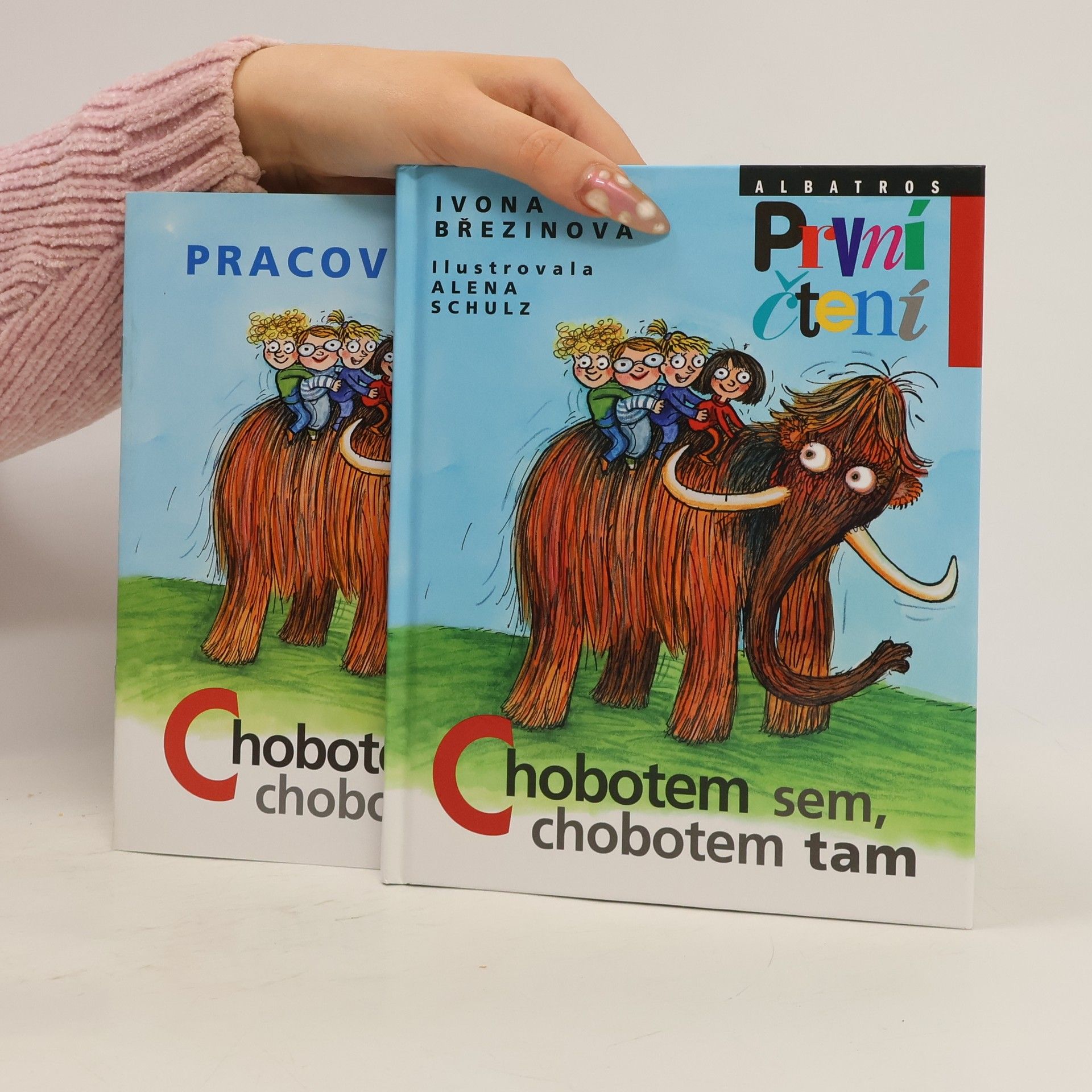 Ivona Březinová Chobotem sem, chobotem tam + pracovní sešit