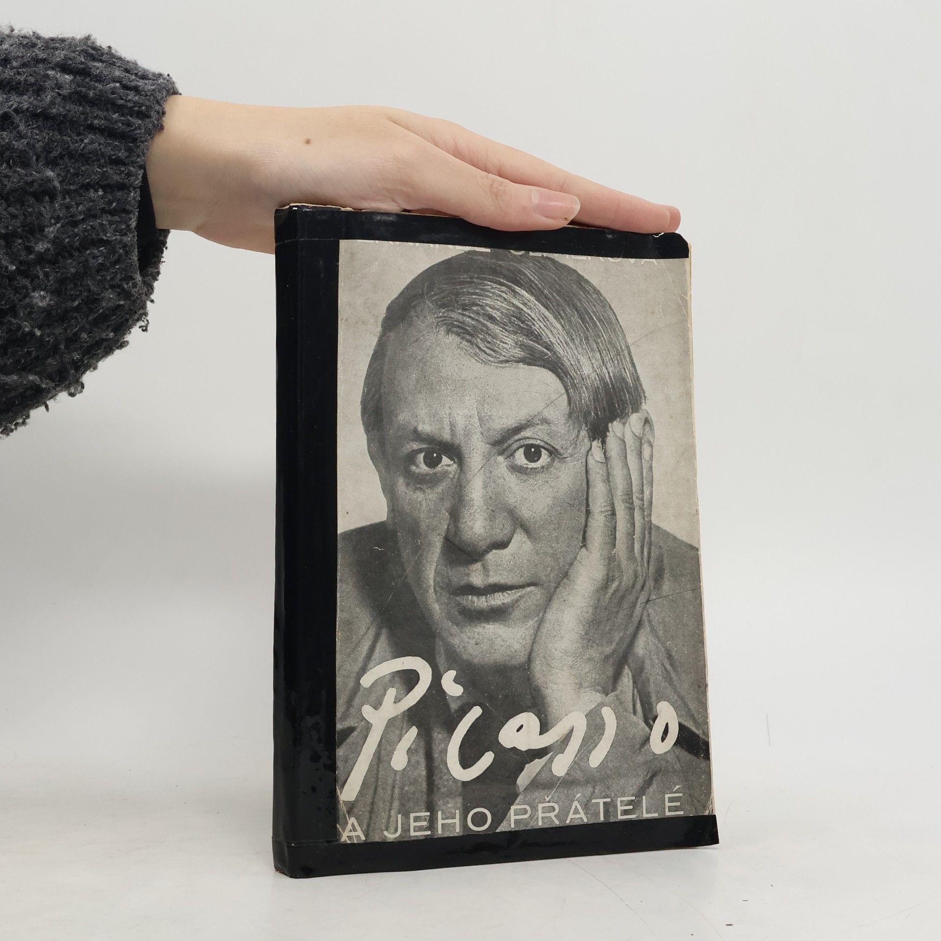 Fernande Olivier Picasso a jeho přátelé