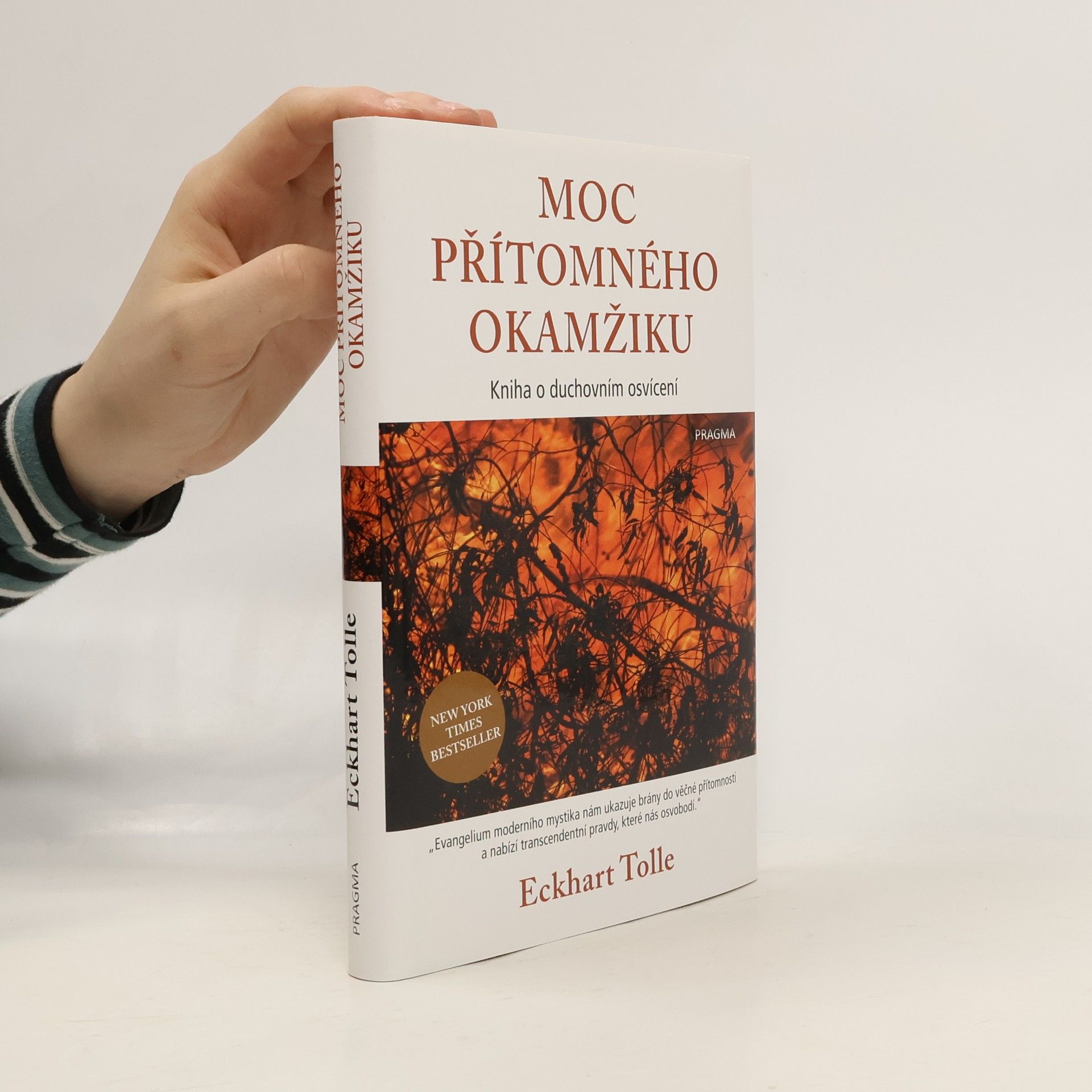 Eckhart Tolle Moc přítomného okamžiku