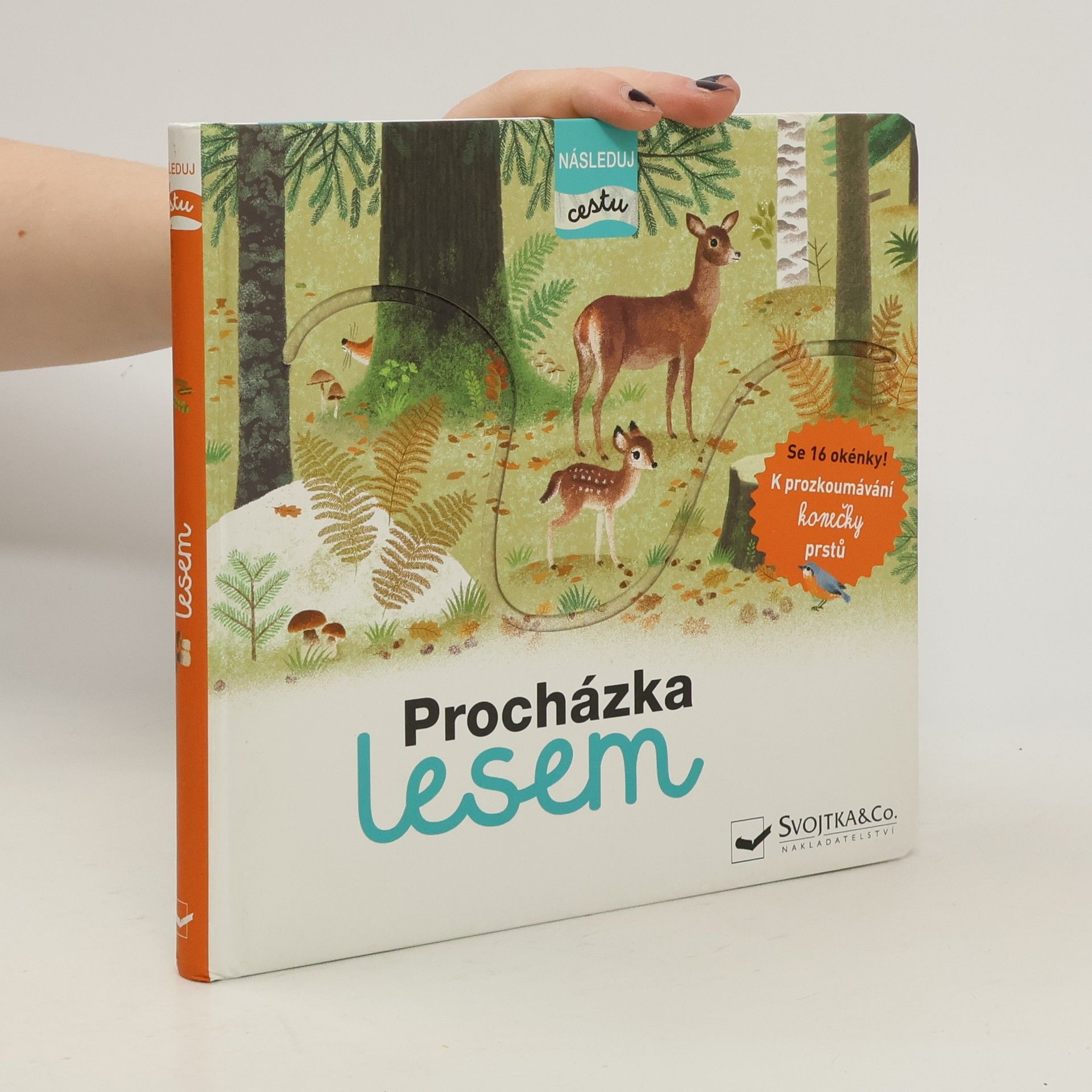 Tereza Fraňková Procházka lesem