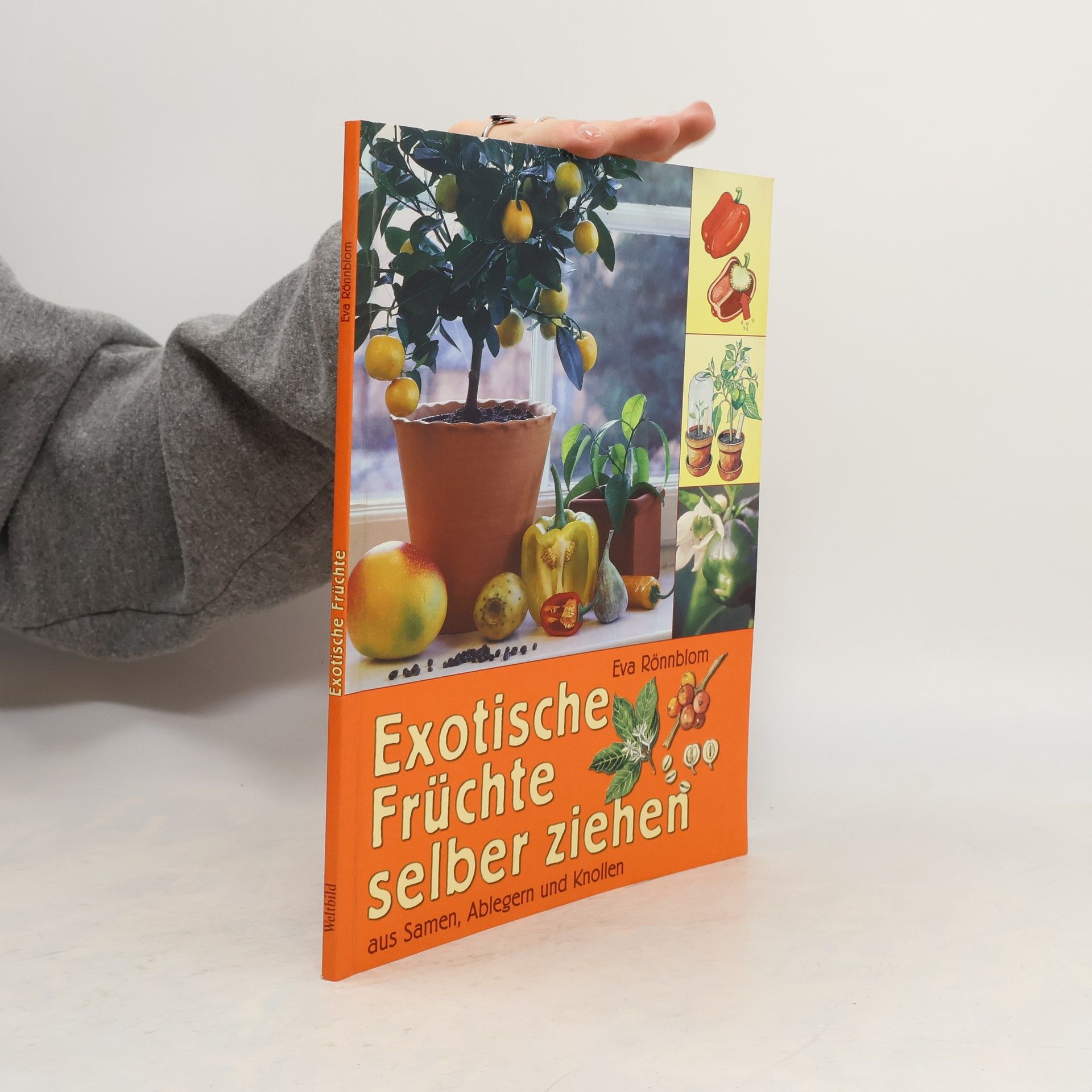 Exotische Früchte selber ziehen aus Samen, Ablegern und Knollen