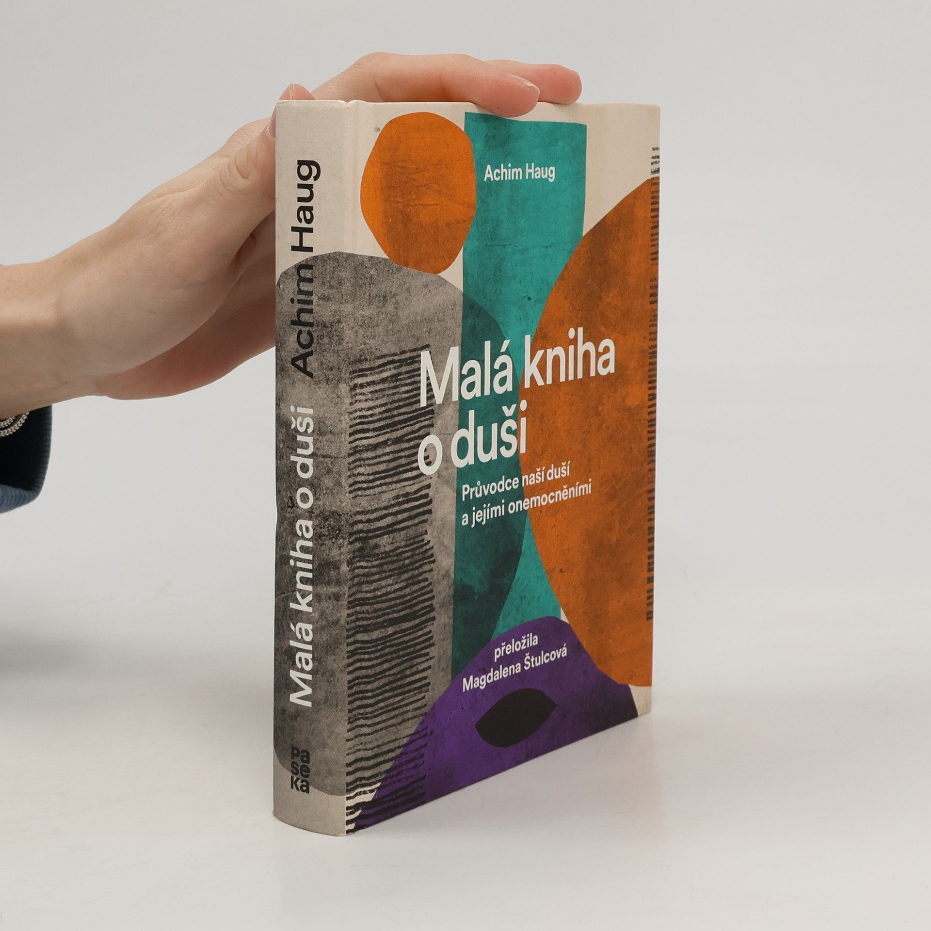 Achim Haug Malá kniha o duši. Průvodce na cesty naší psýchou a jejími nemocemi