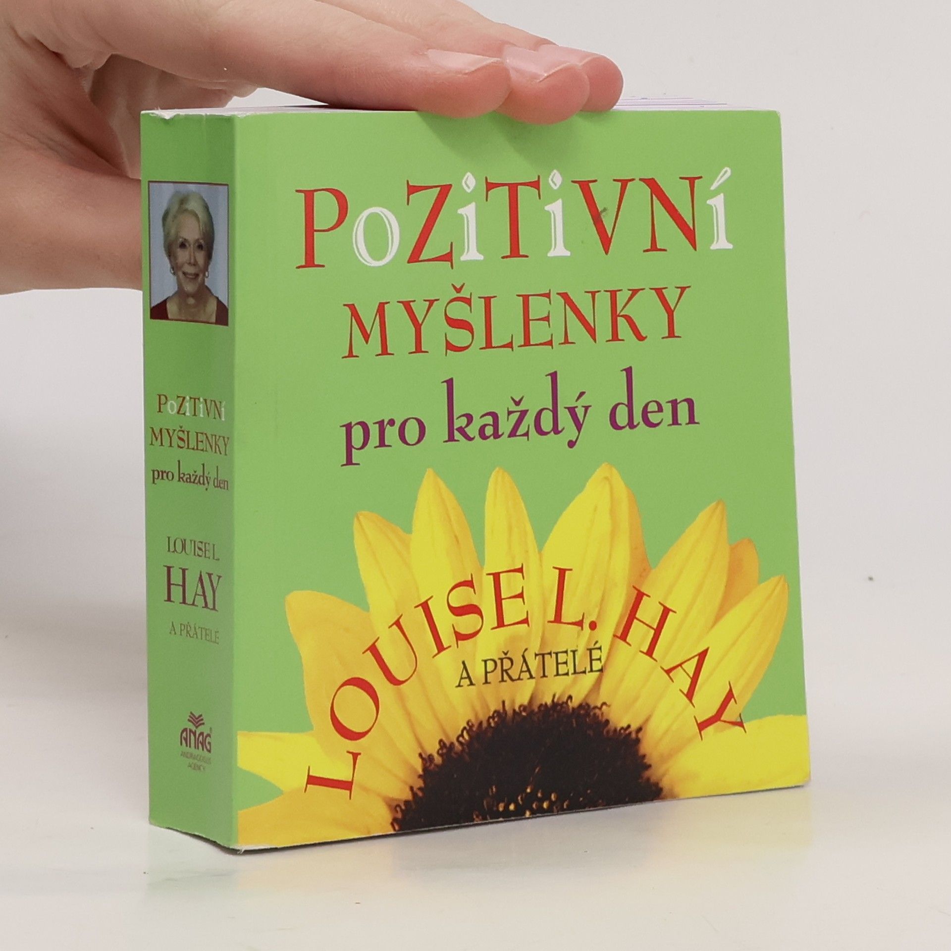 Louise Lynn Hay Pozitivní myšlenky pro každý den
