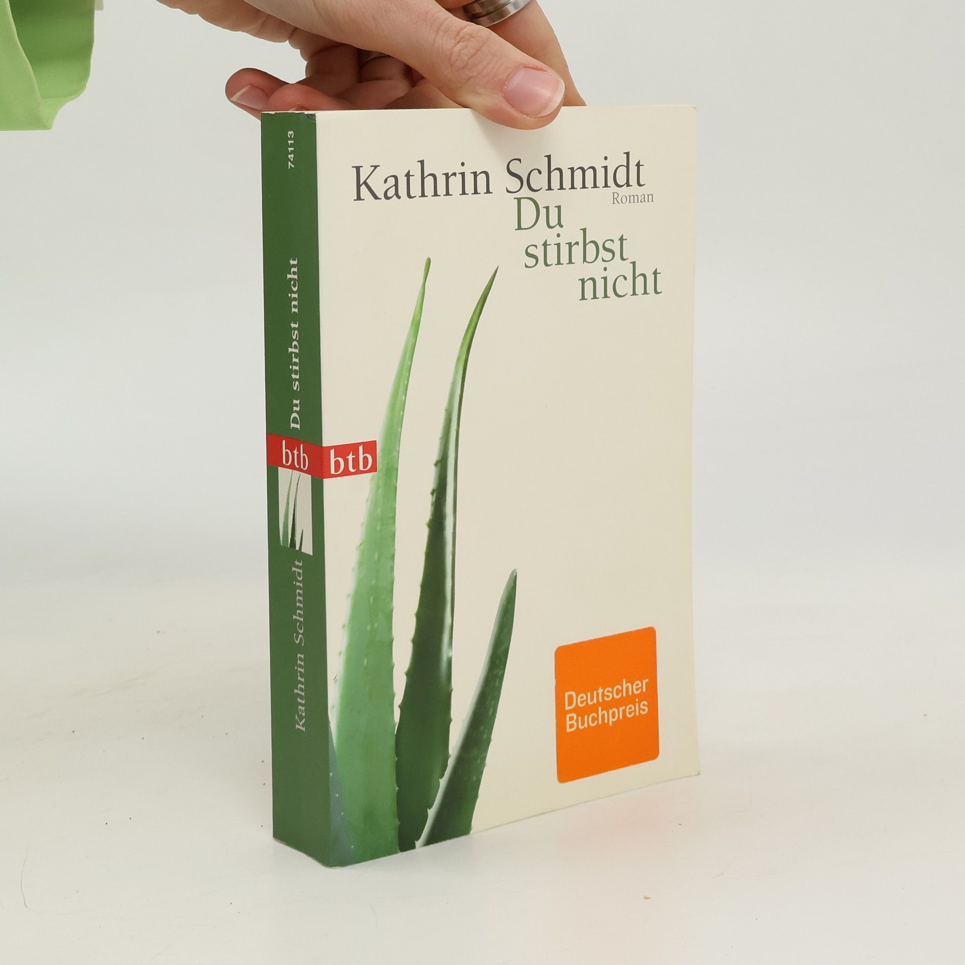 Kathrin Schmidt Du stirbst nicht