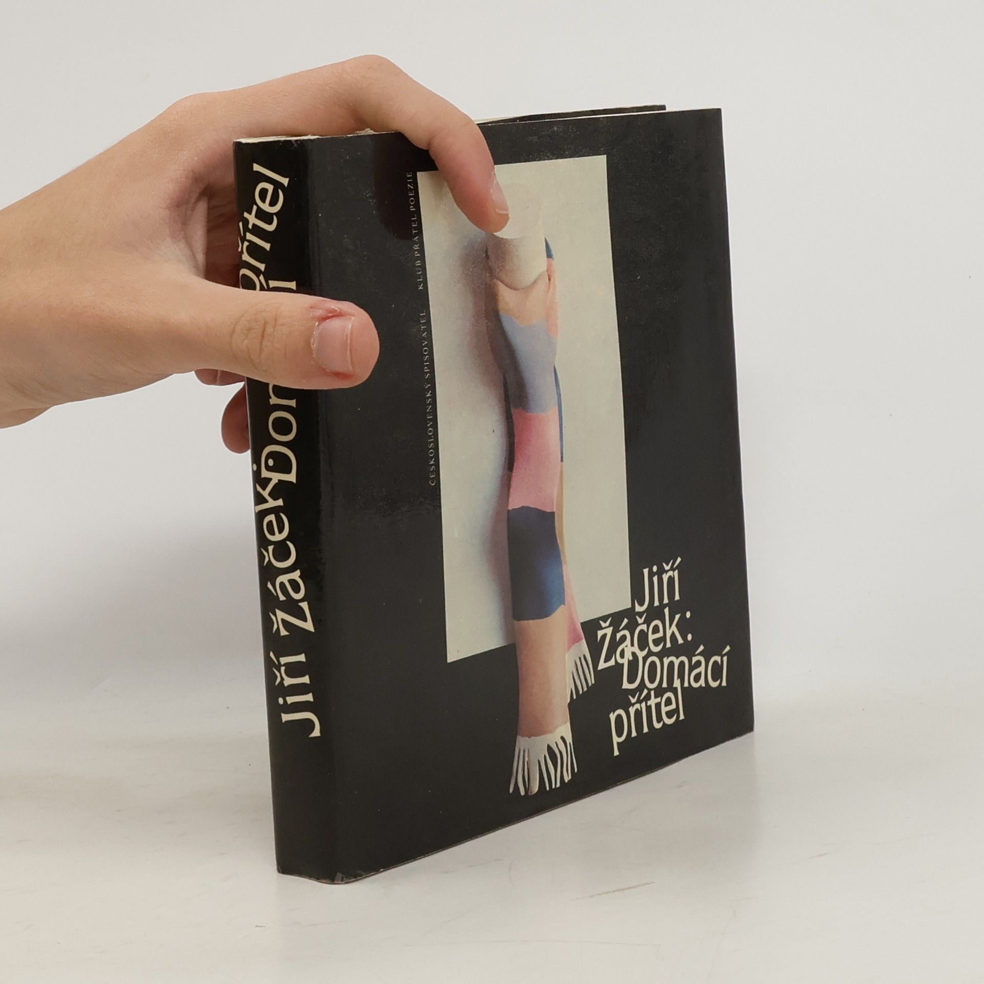 Jiří Žáček Domácí přítel