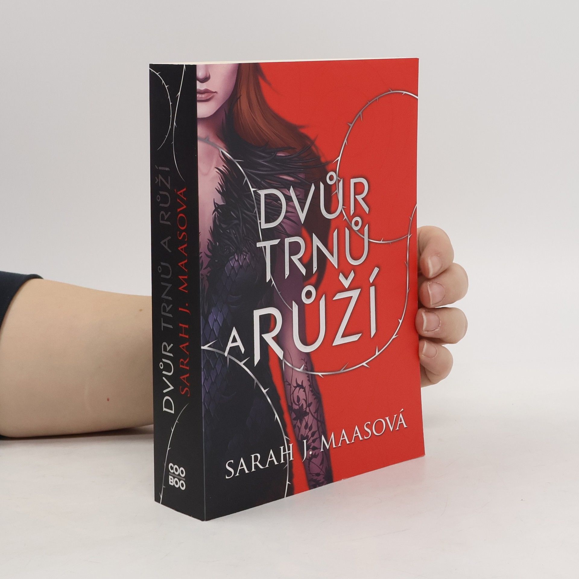 Sarah J. Maas Dvůr trnů a růží