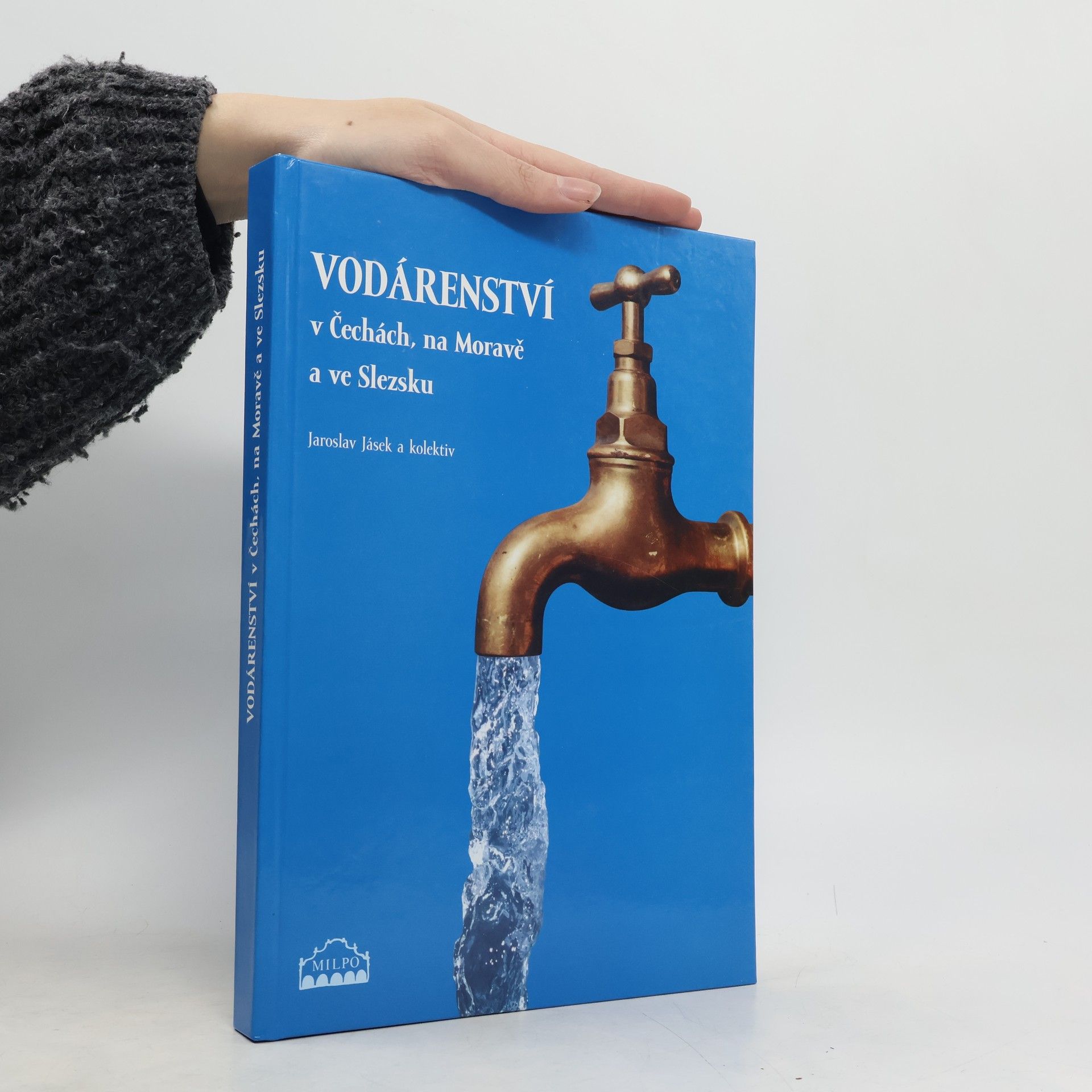 Vodárenství v Čechách, na Moravě a ve Slezsku