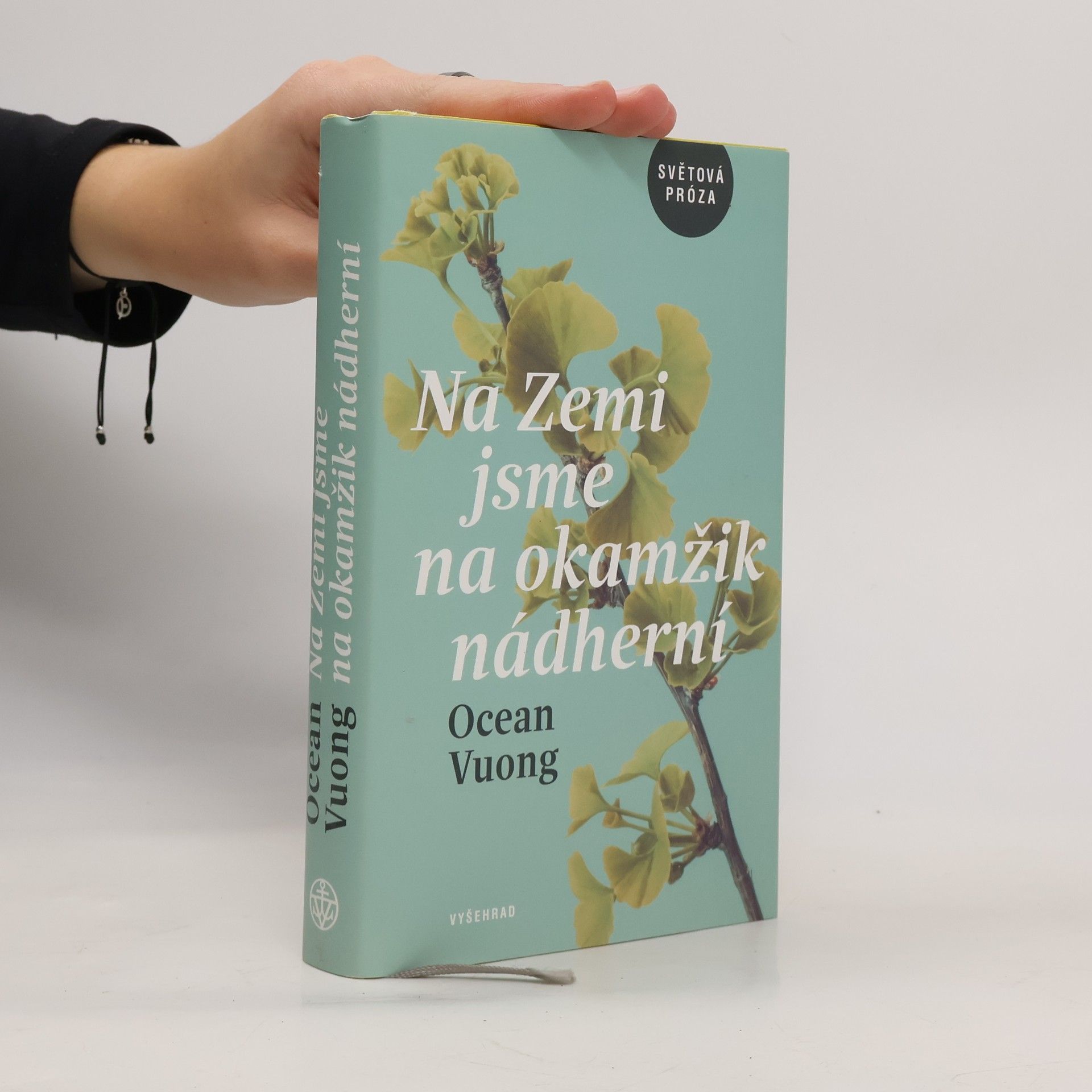 Ocean Vuong Na Zemi jsme na okamžik nádherní