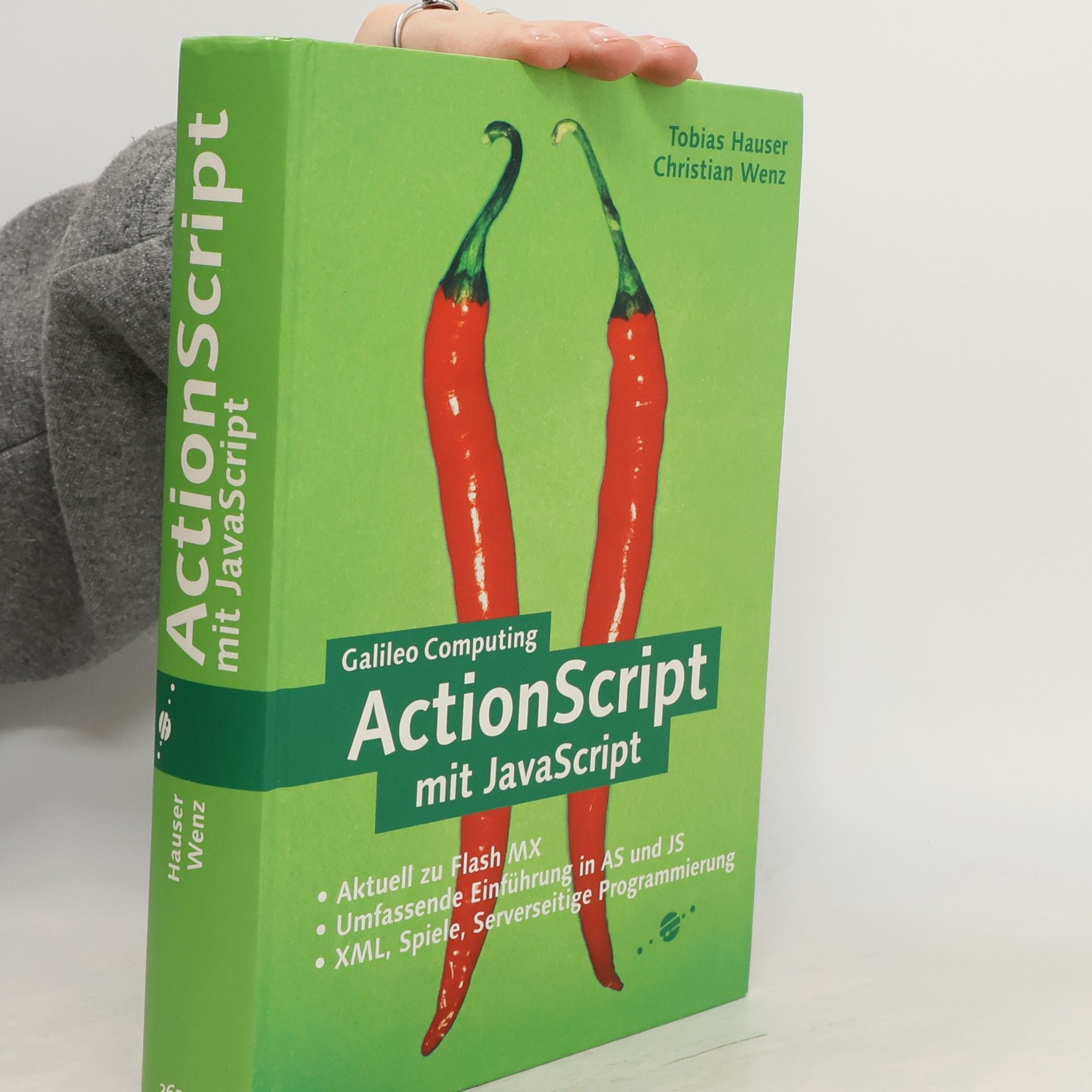 Tobias Hauser ActionScript mit JavaScript