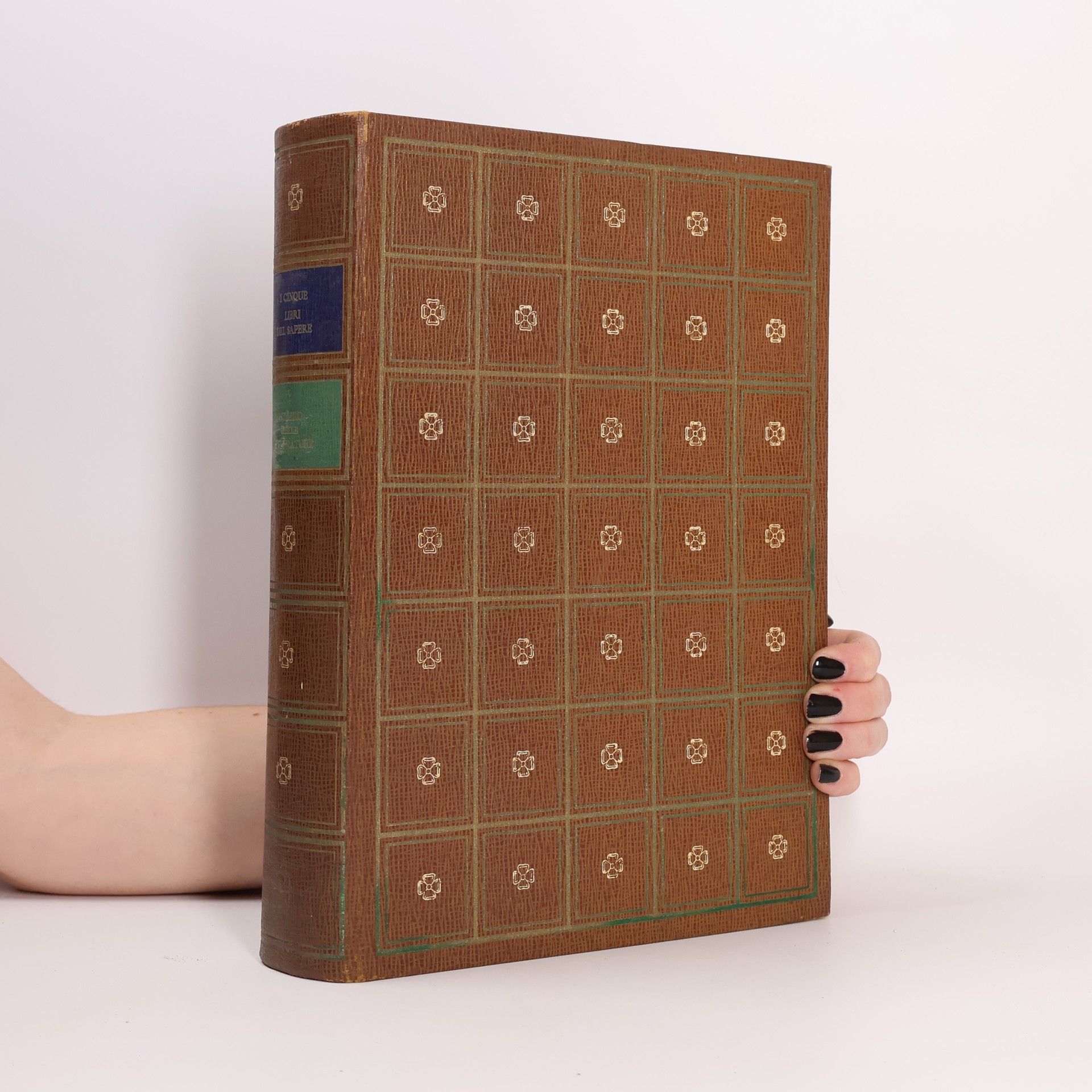 Autorenkollektiv Il Libro delle Letterature