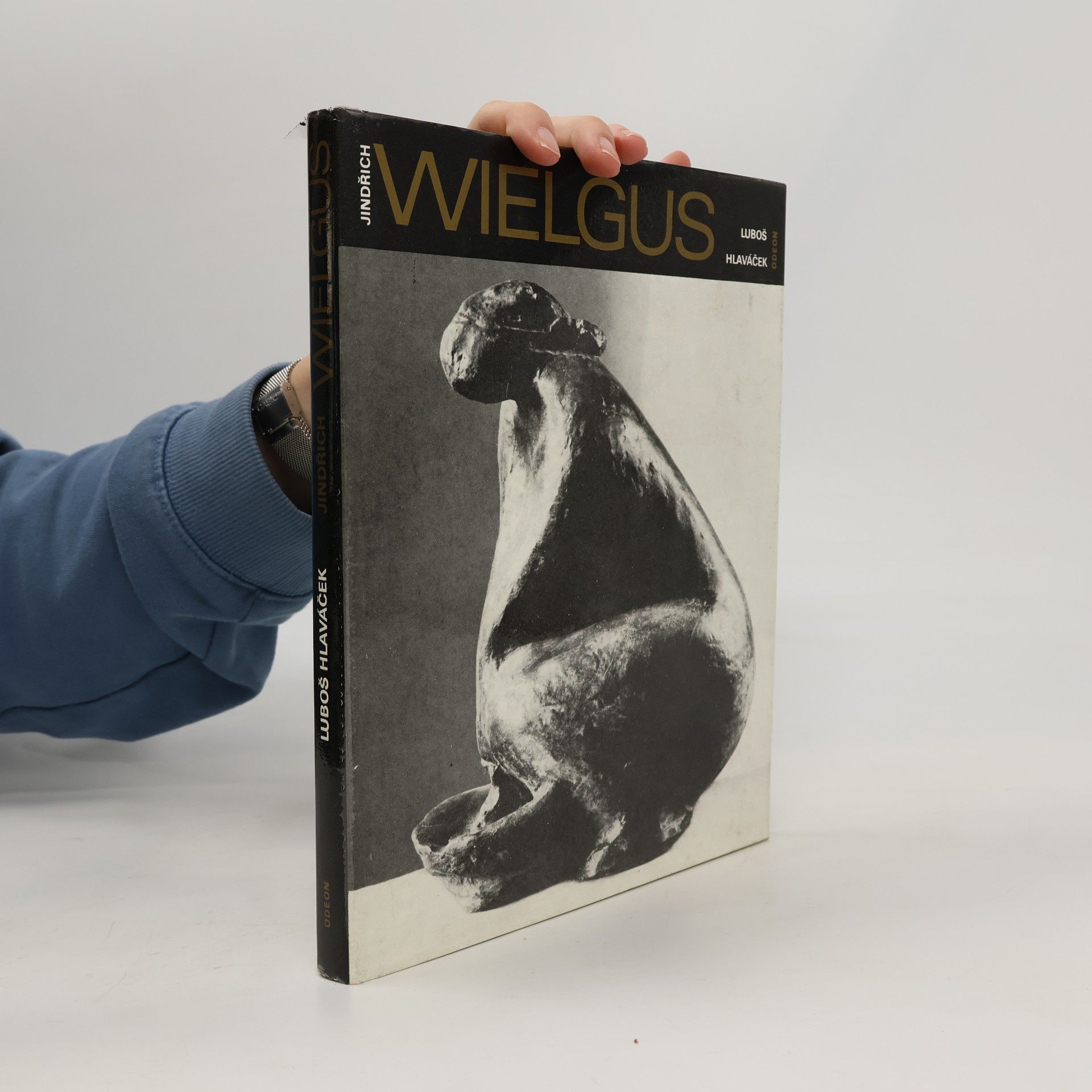 Luboš Hlaváček Umělecké profily VI. Jindřich Wielgus