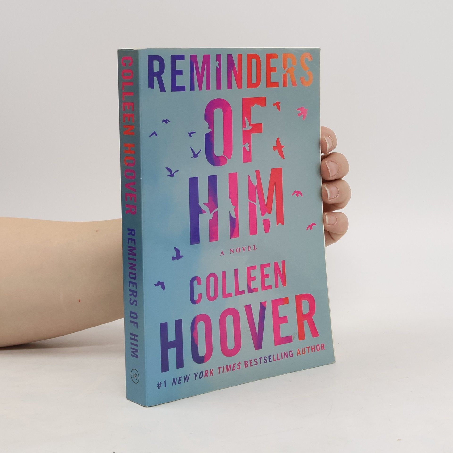 Colleen Hoover Reminders of him