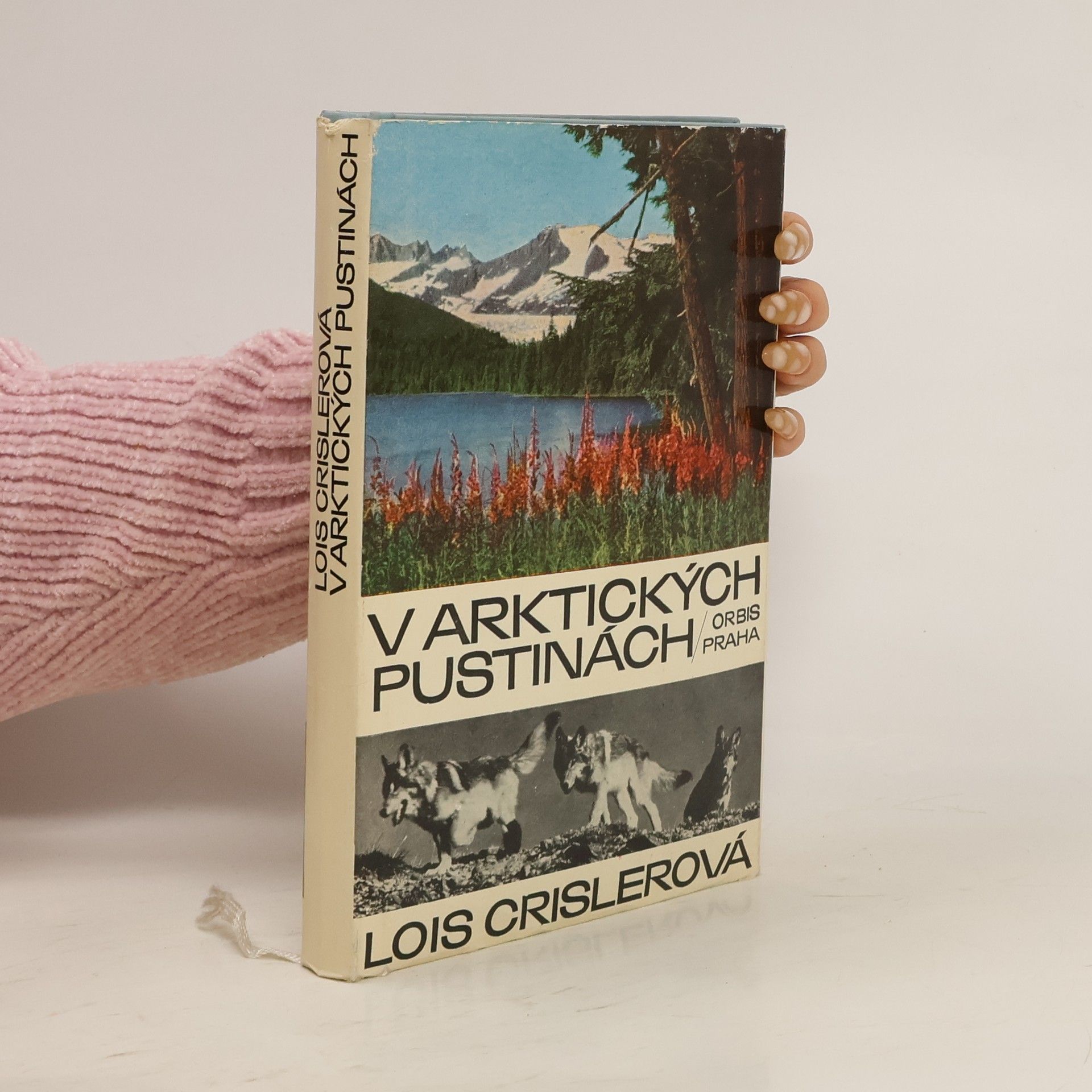 V Arktických pustinách