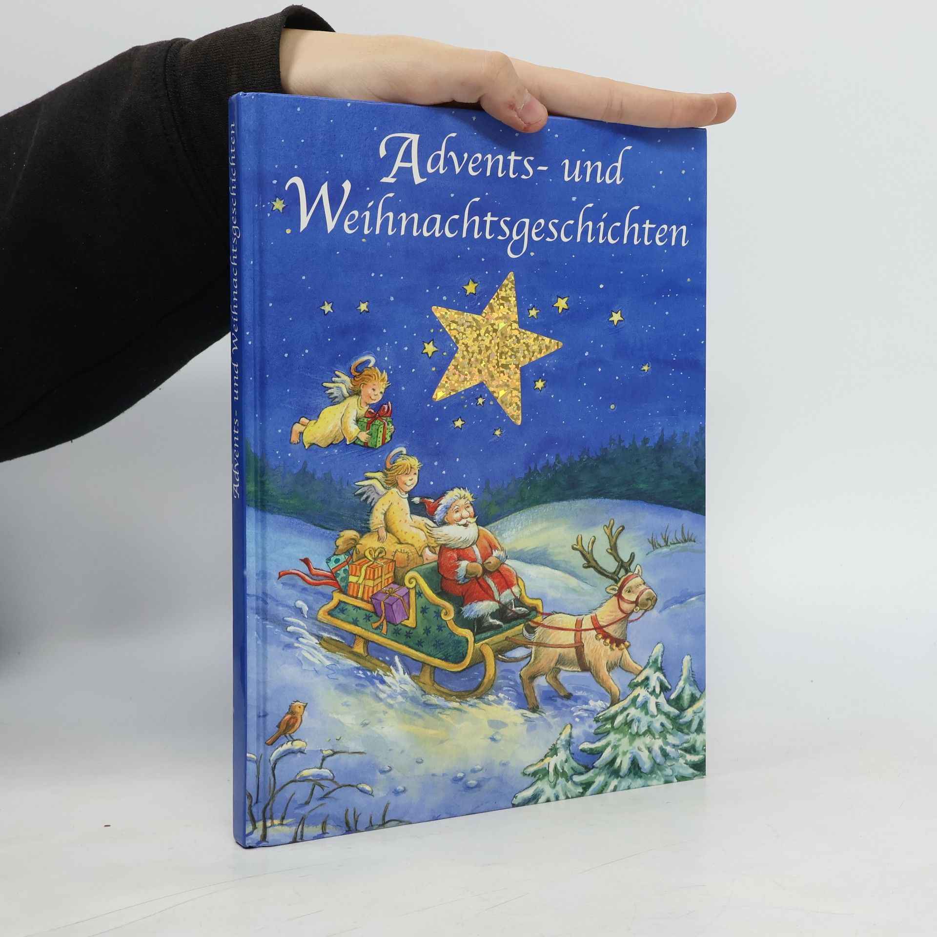 Autorenkollektiv Advents- und Weihnachtsgeschichten