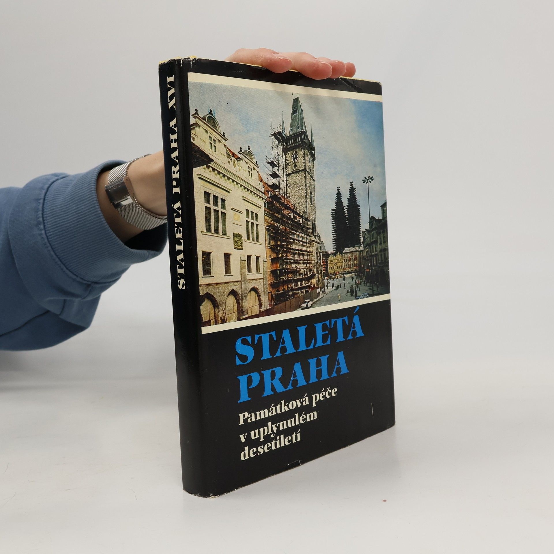 Kolektiv autorů Staletá Praha XVI