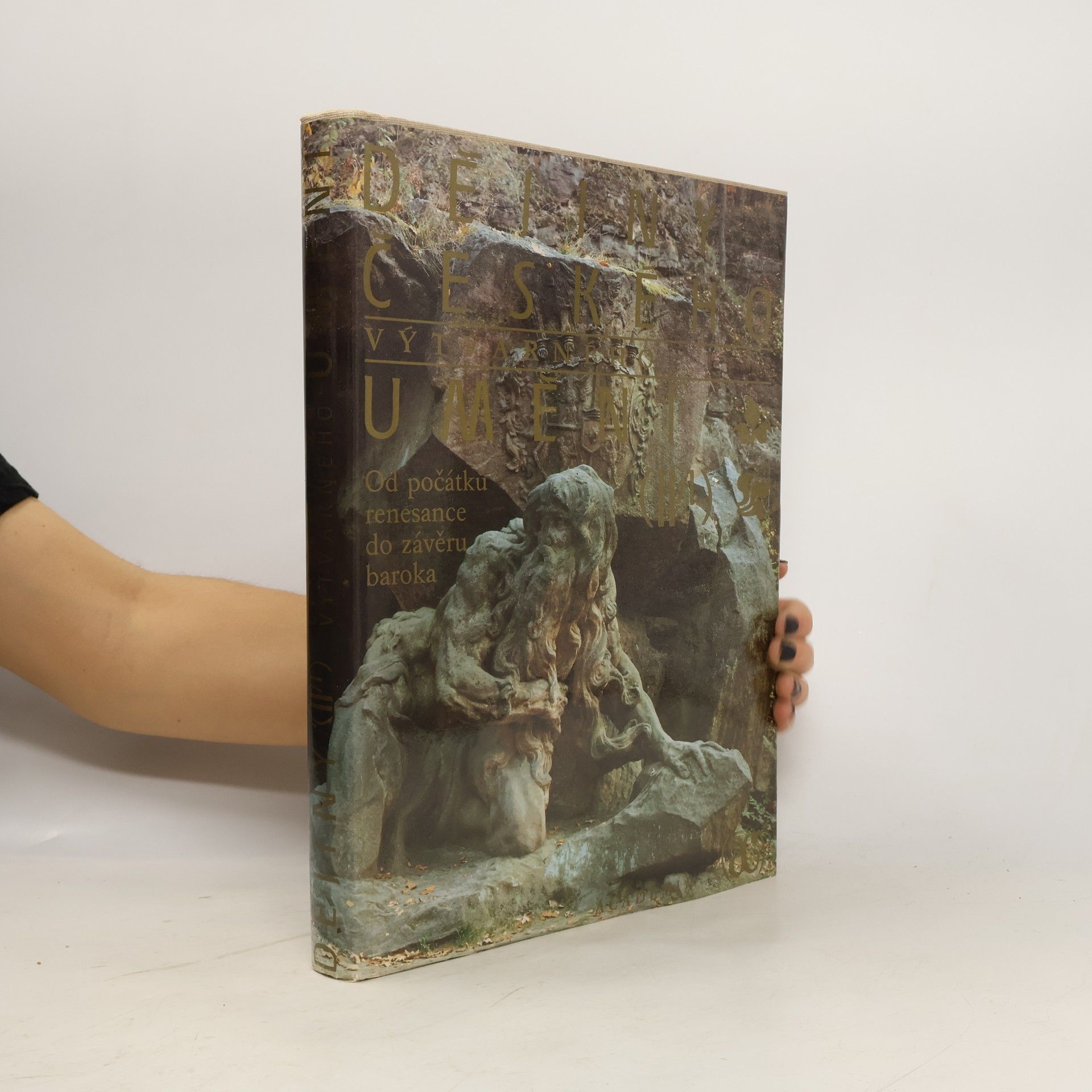 Collectif d'auteurs Dějiny českého výtvarného umění II/1