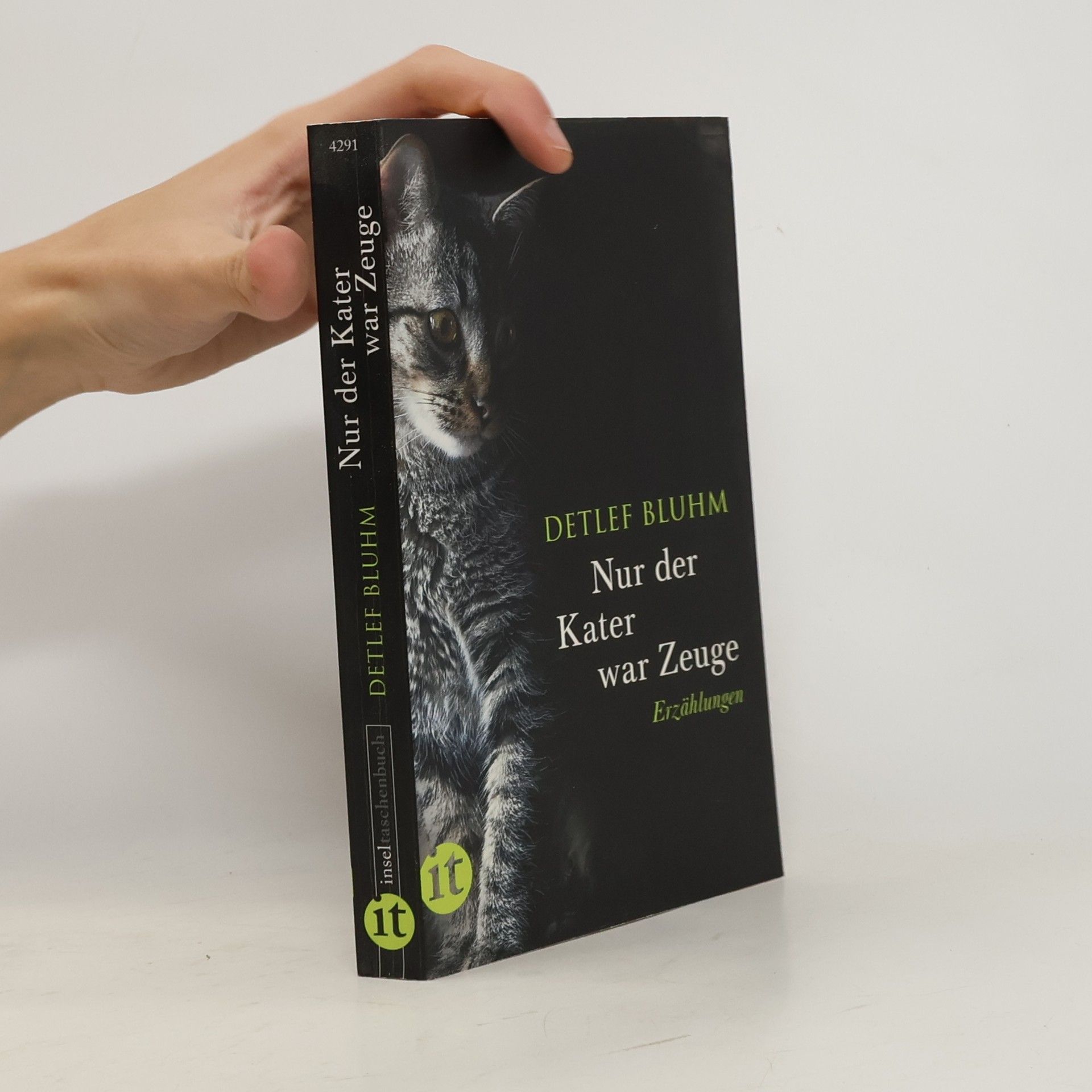 Detlef Bluhm Nur der Kater war Zeuge